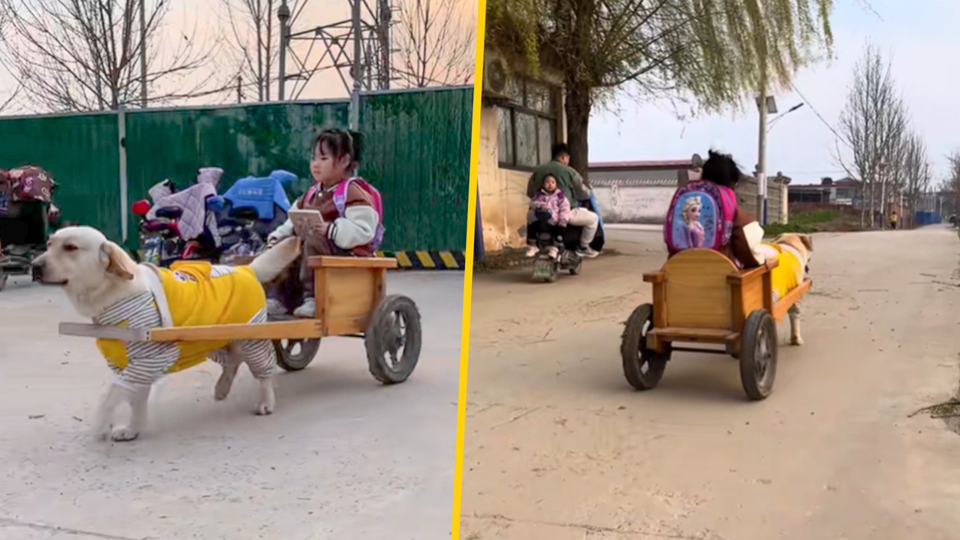 A ‘dog driver’ in China pulls a cart to pick up a girl from kindergarten as envious classmates dub the vehicle a “Rolls-Royce” for children. Photo: SCMP composite/Douyin