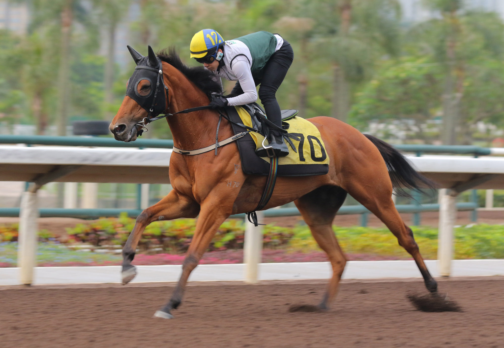 Samarkand gallops on the all-weather track at Sha Tin on April 15.