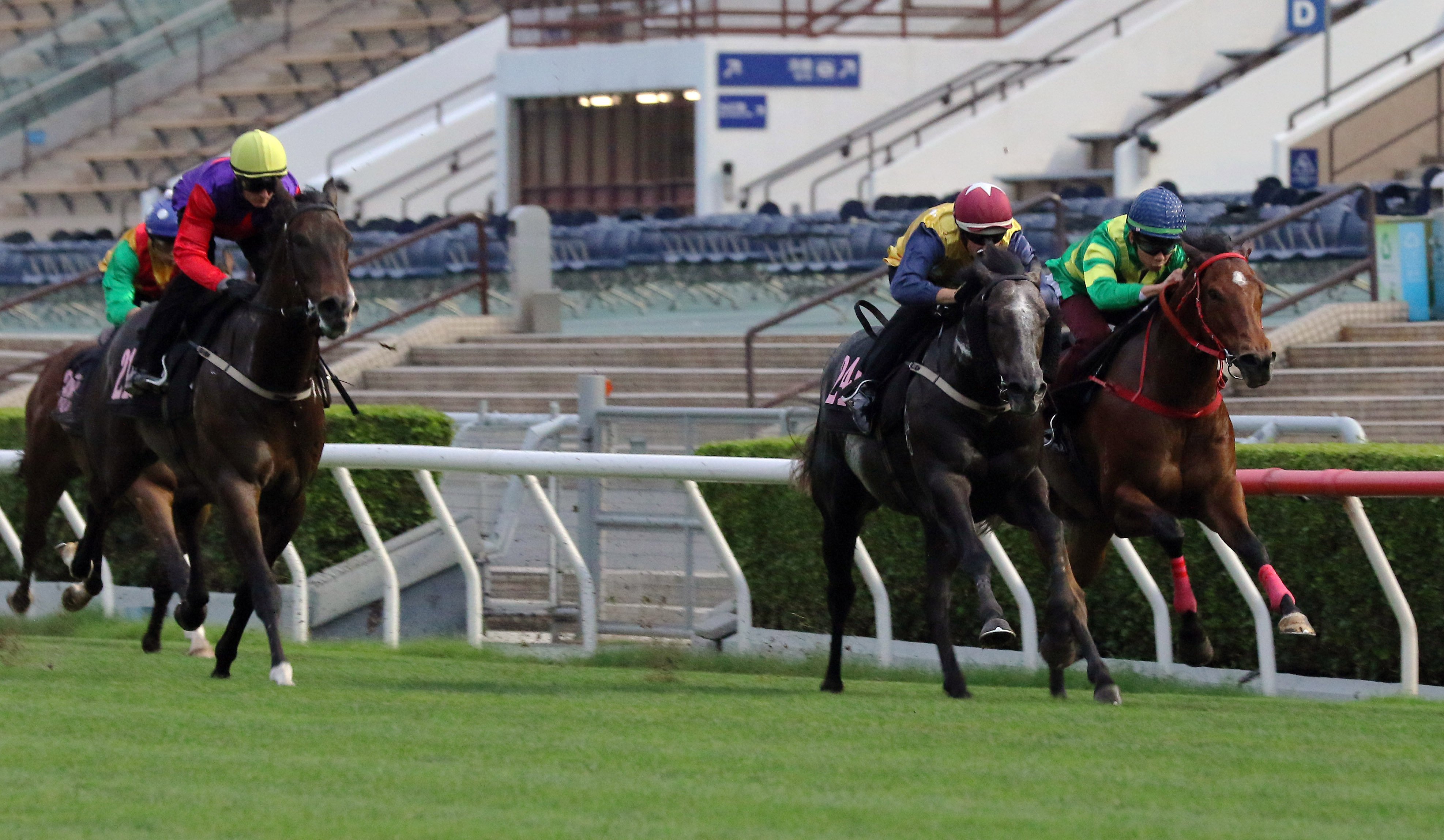 Little Brose (second from right) wins his latest trial at Sha Tin under Hugh Bowman. Photos: Kenneth Chan
