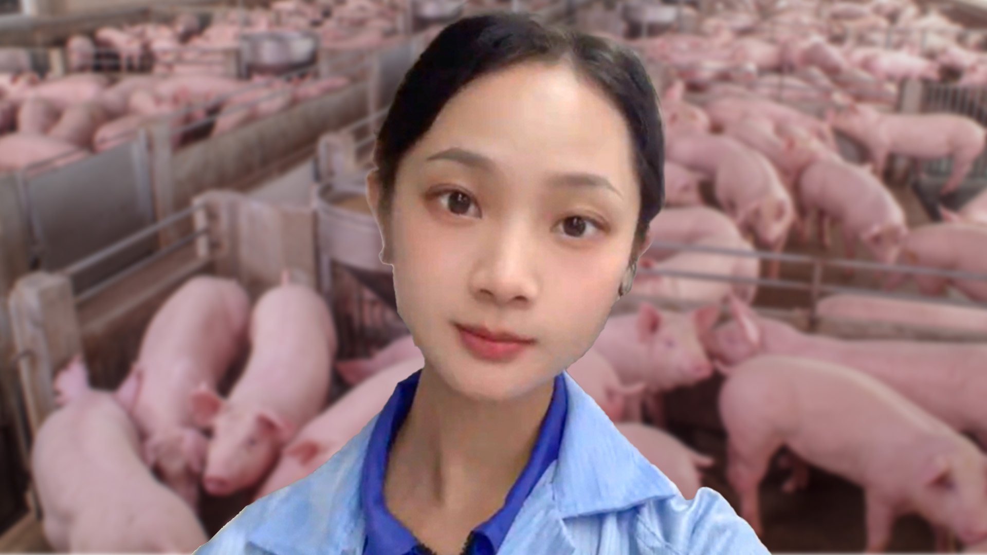 A 26-year-old woman in China has earned praise on mainland social media after she quit an office job to work on a pig farm. Photo: SCMP composite/Shutterstock/Douyin