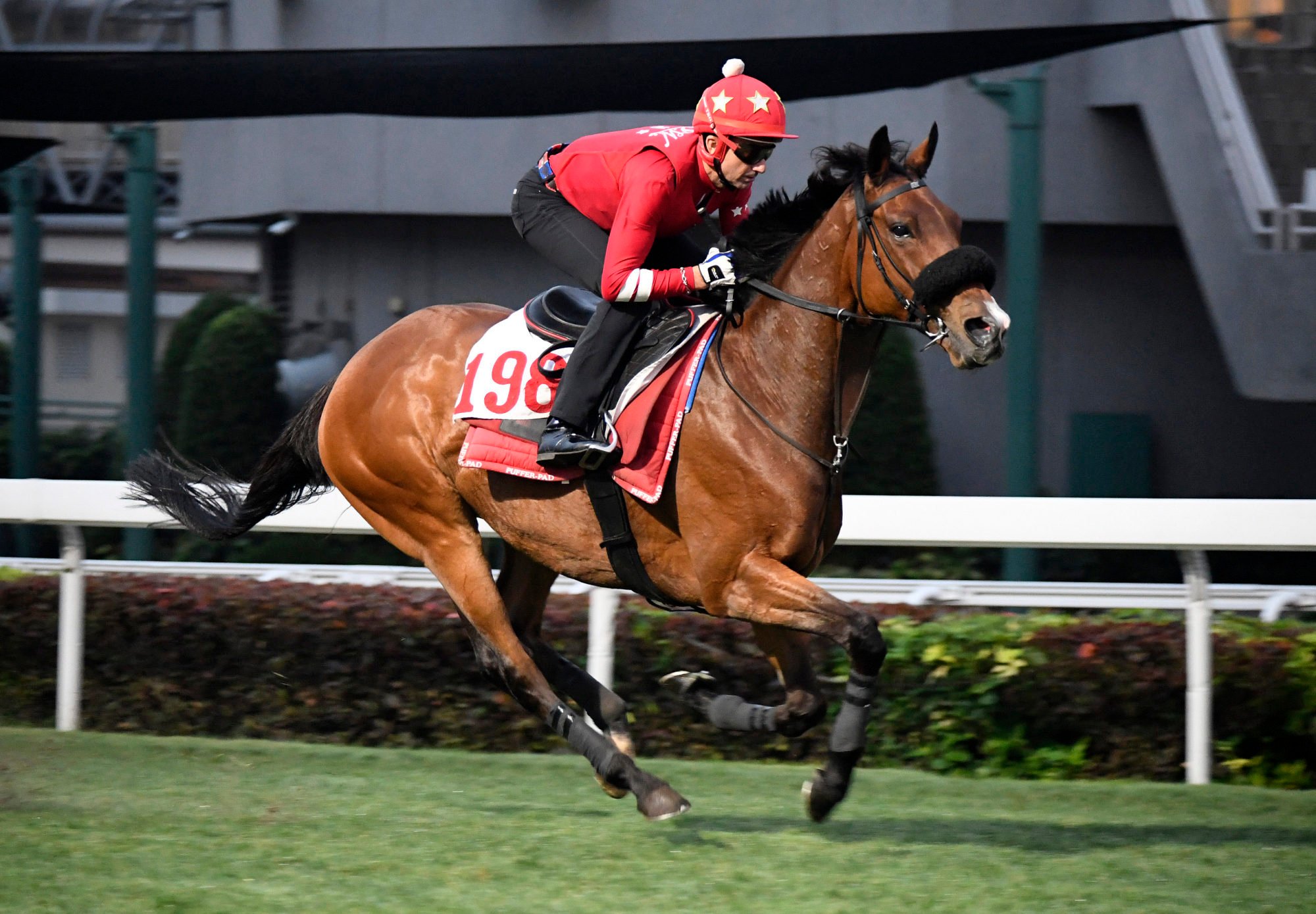 Russian Emperor gallops on the Sha Tin turf under Douglas Whyte earlier this week.