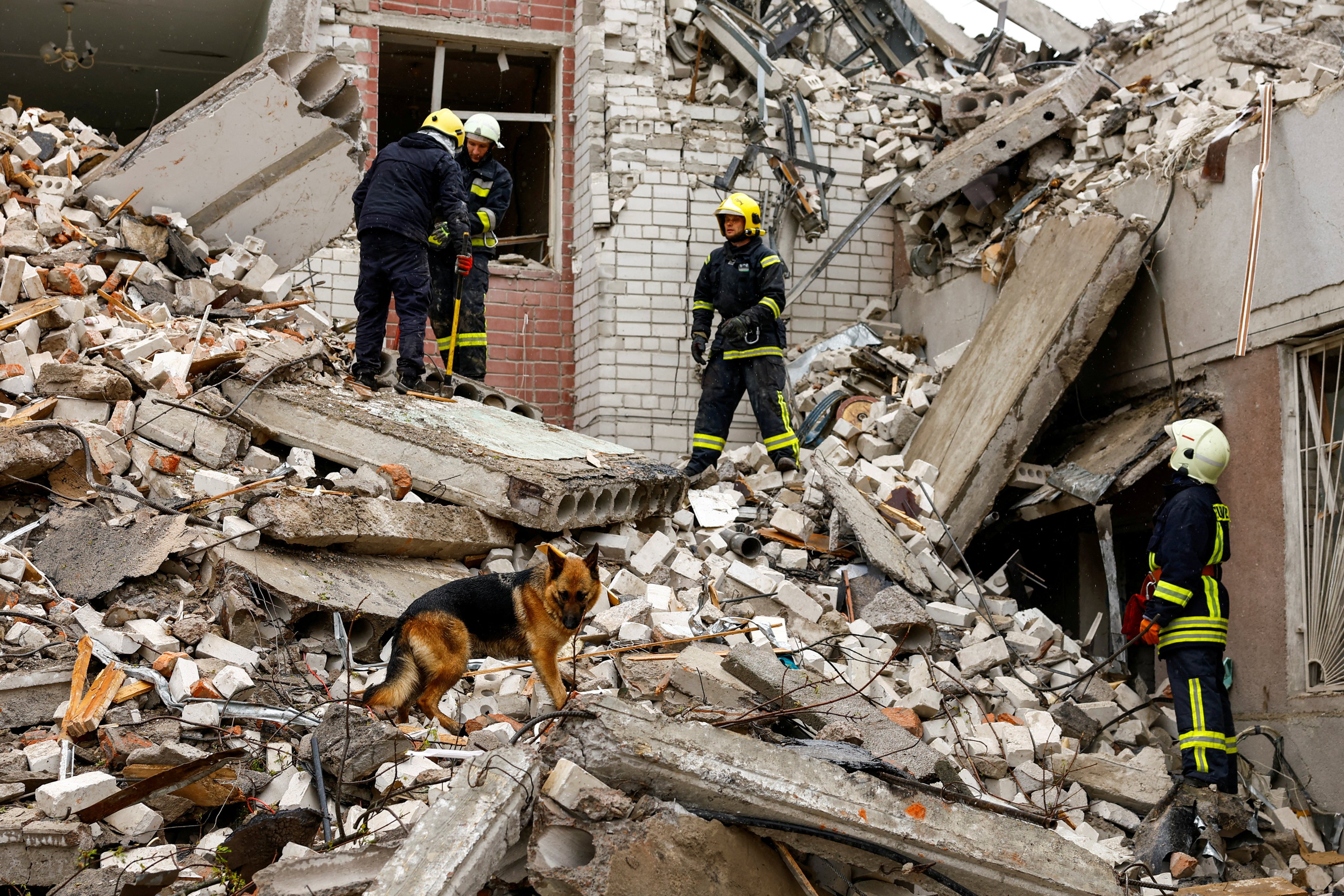 A dog stands on rubble as rescuers work at the site of a destroyed building in Chernihiv, Ukraine on Wednesday. Photo: Reuters