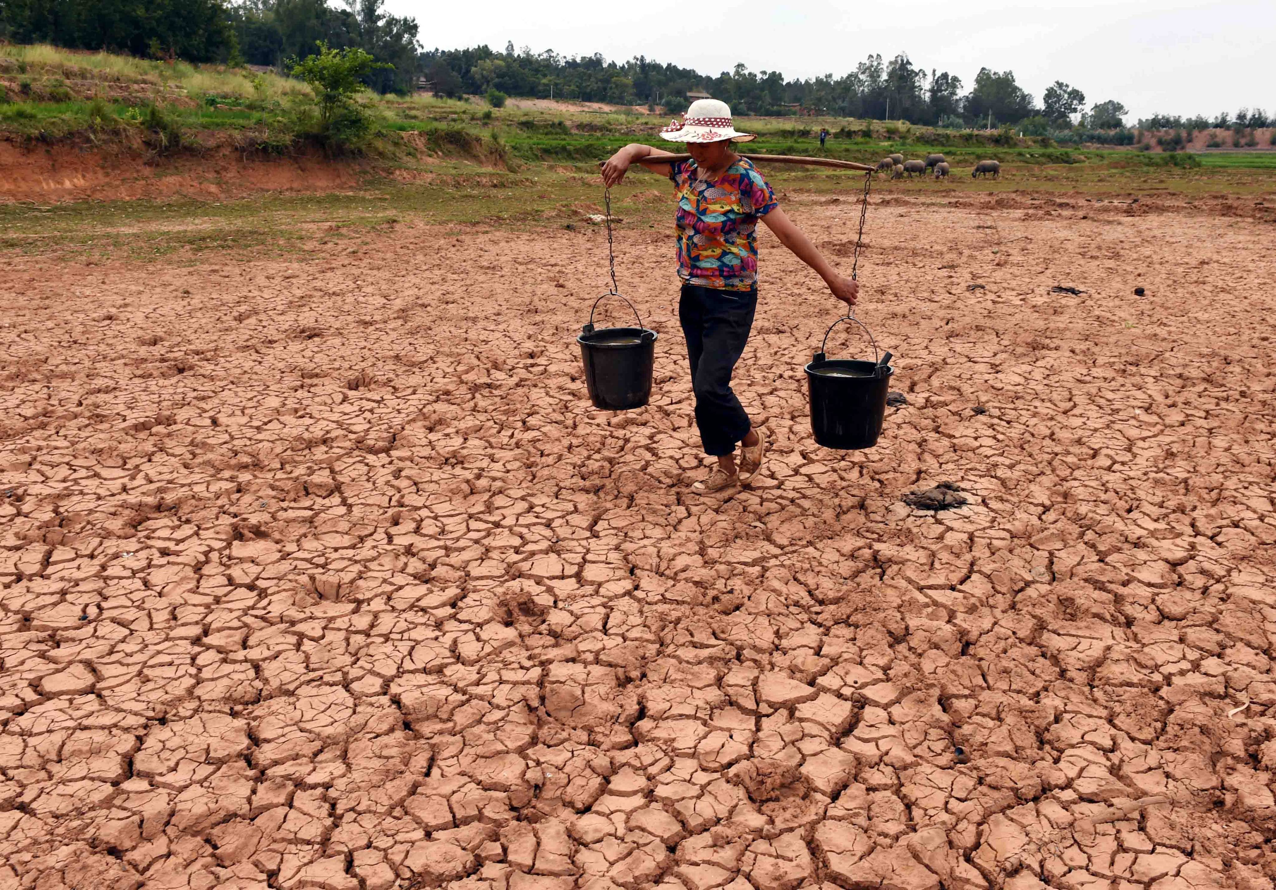 Yunnan is one of China’s leading hydropower producers, but it is facing ongoing challenges to its agriculture and energy systems due to the prolonged drought. Photo: Xinhua