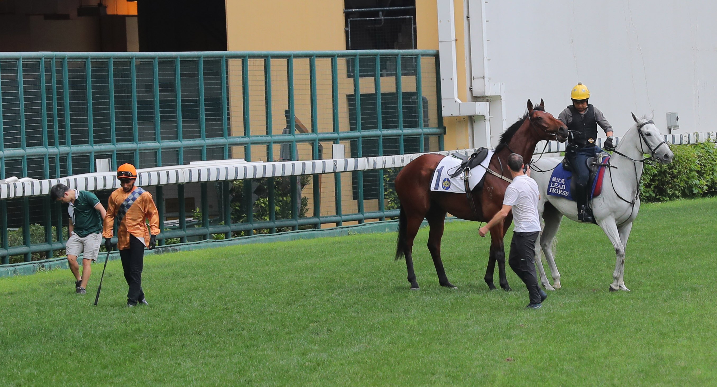 Global Harmony refuses to head to the gates for Friday morning’s barrier trial. Photos: Kenneth Chan