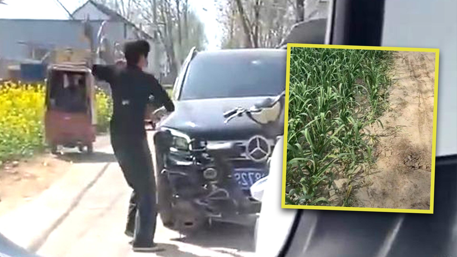 A woman farmer in China went berserk and smashed up a man’s luxury car with a brick after he drove over and crushed some of her carefully planted garlic seedlings on a roadside. Photo: SCMP composite/Douyin