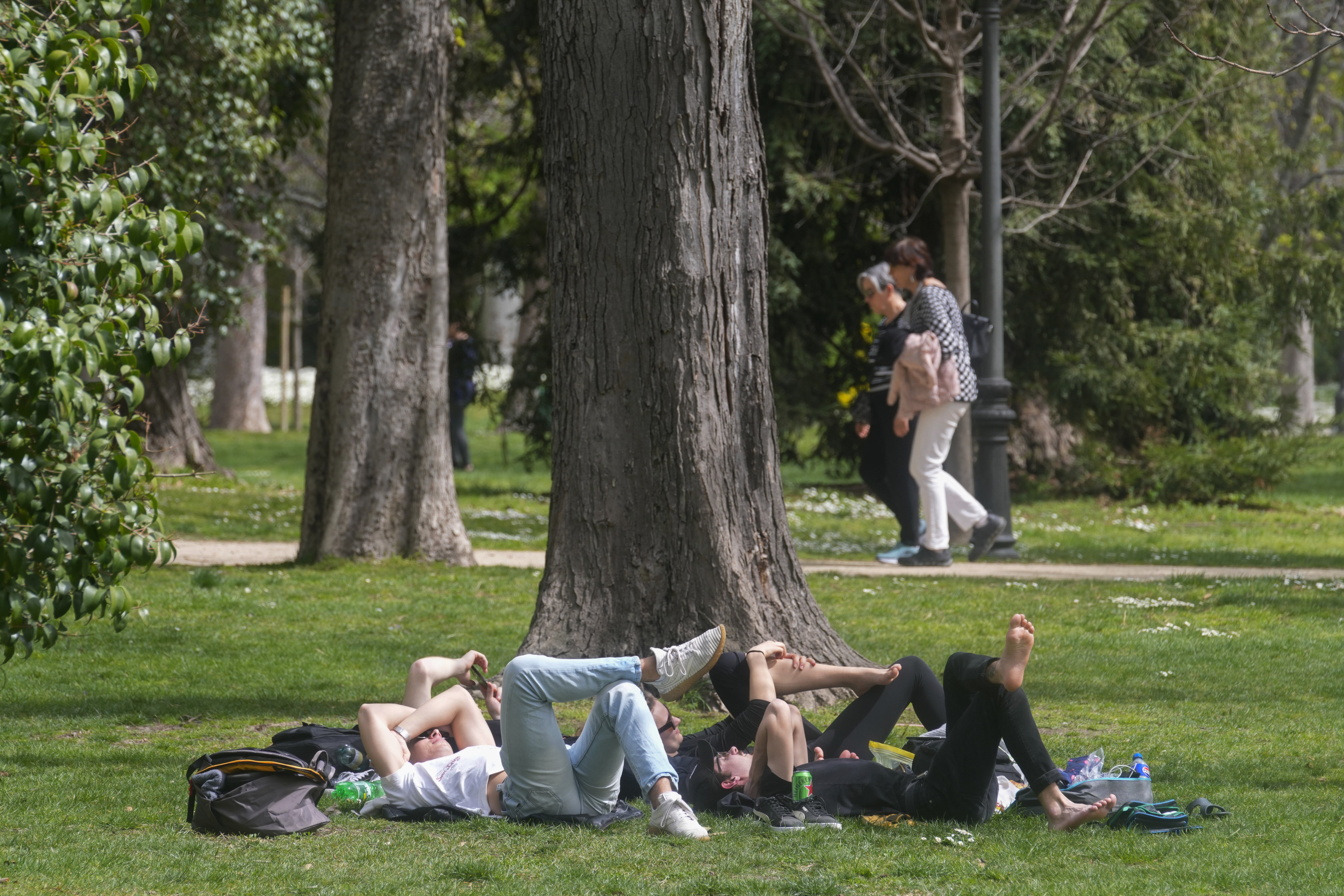 People relax in a park in Madrid, Spain, in March. Photo: AP