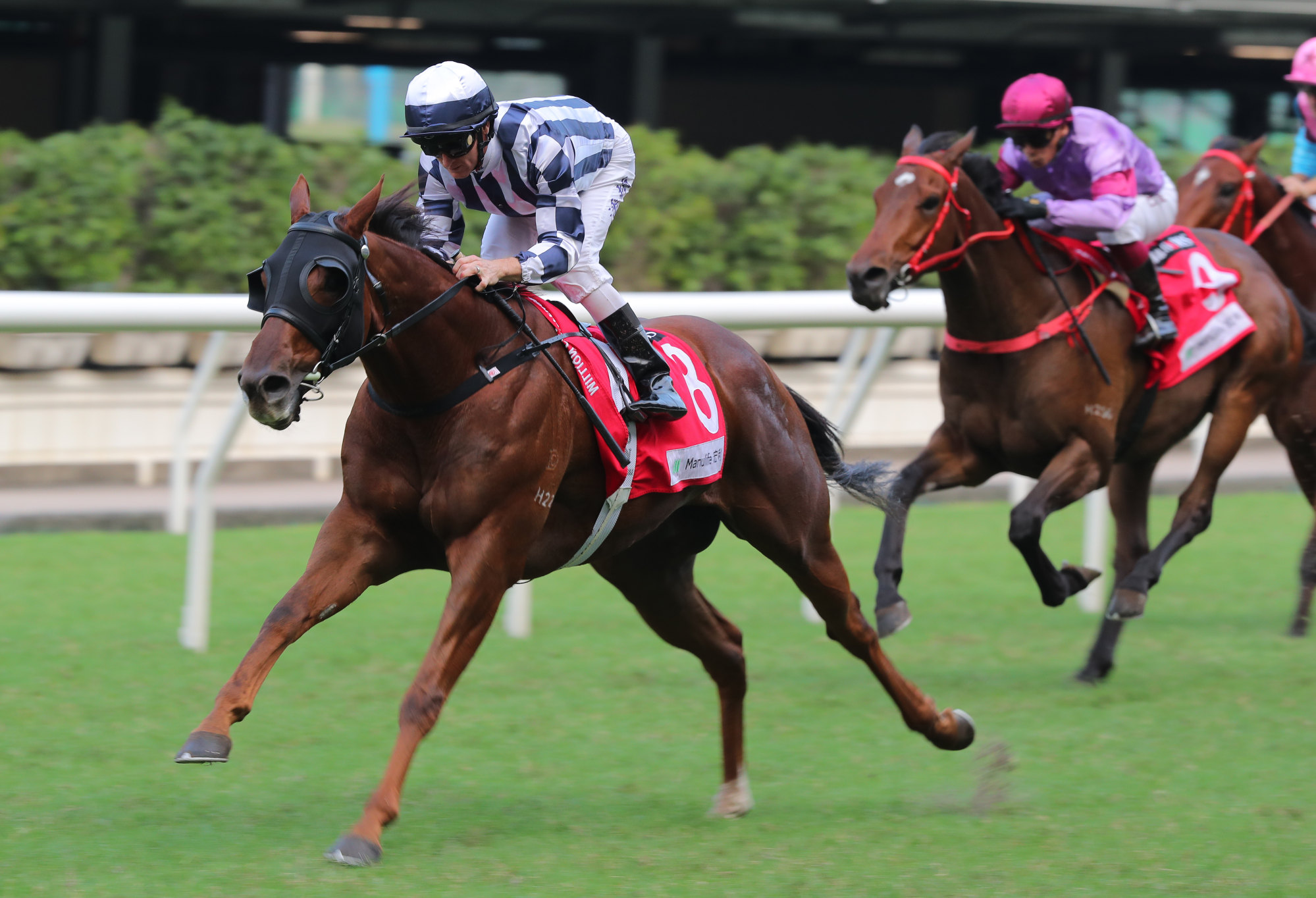 Seasons Wit wins for Zac Purton at Happy Valley last October.