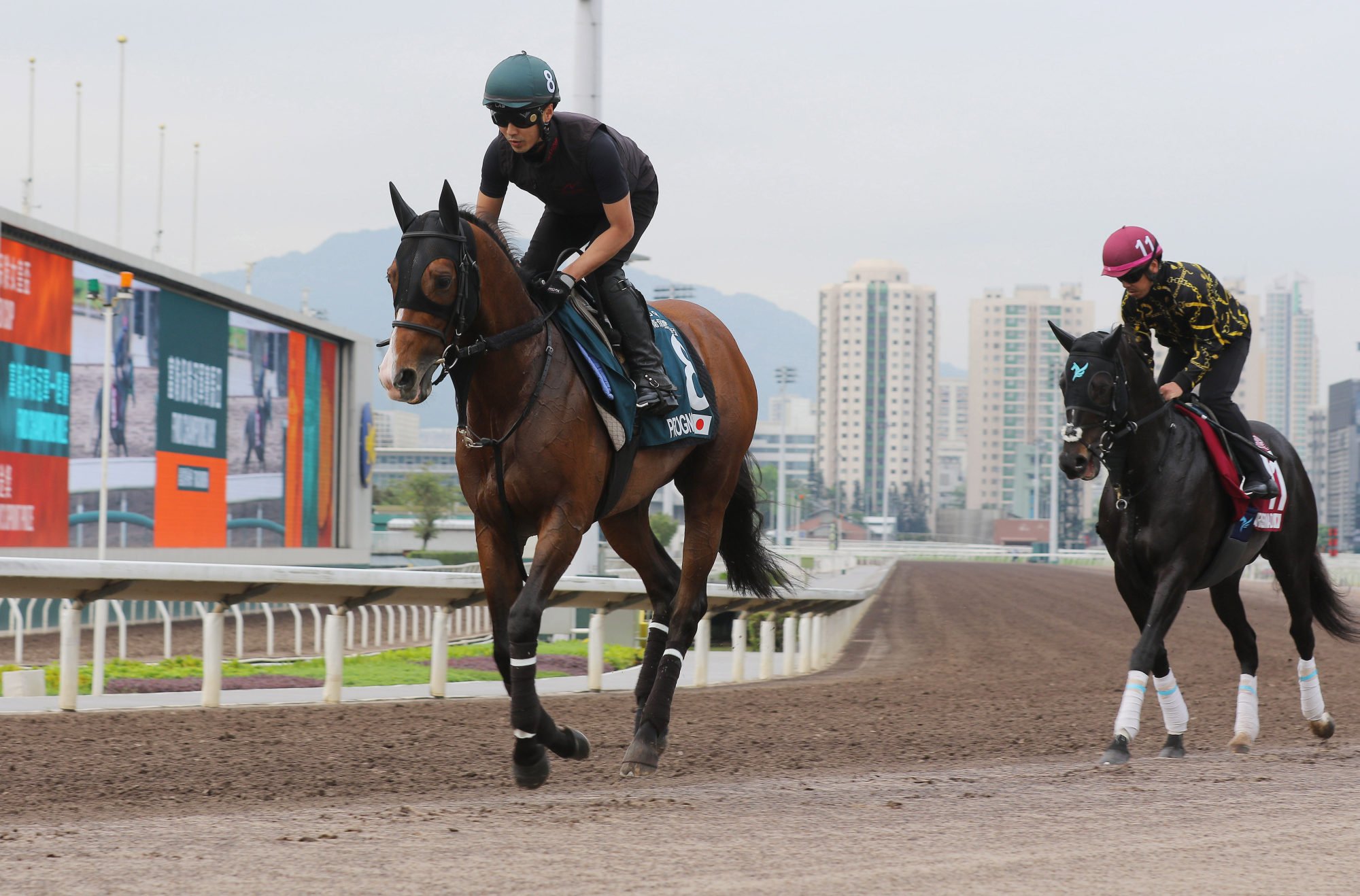 Japanese duo Prognosis and Sunrise Ronaldo gallop on the all weather track at Sha Tin on Monday.