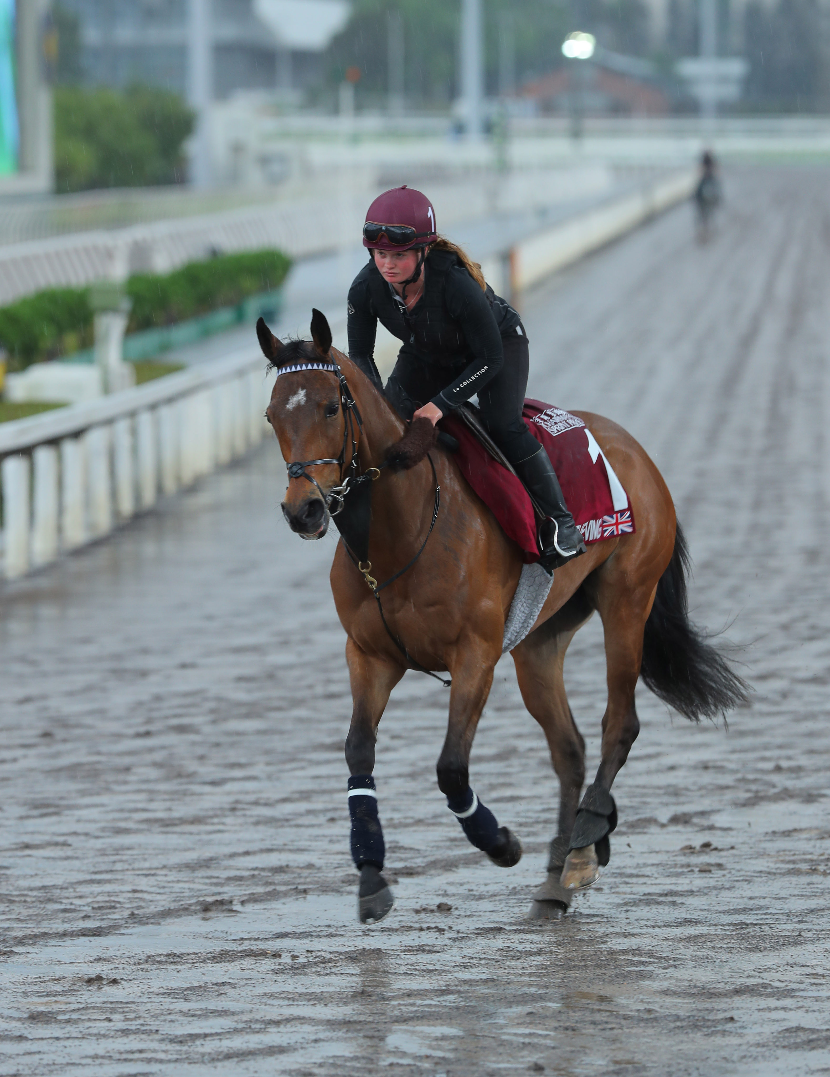 Chairman’s Sprint Prize runner Believing warms up on the all-weather track at Sha Tin on Tuesday morning. Photos: Kenneth Chan