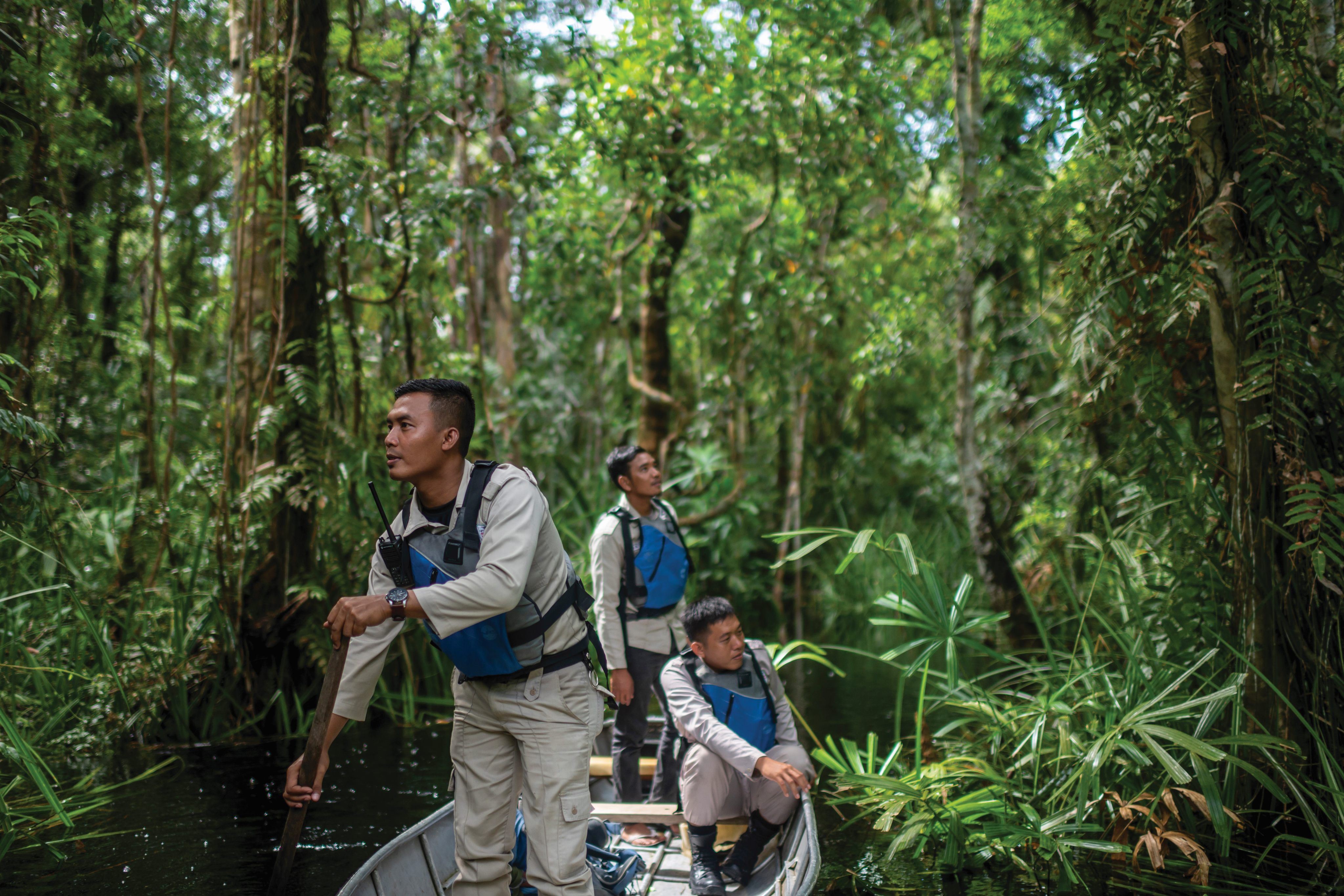 Rangers from the Restorasi Ekosistem Riau ecosystem restoration programme patrol the Serkap river in Sumatra, Indonesia.