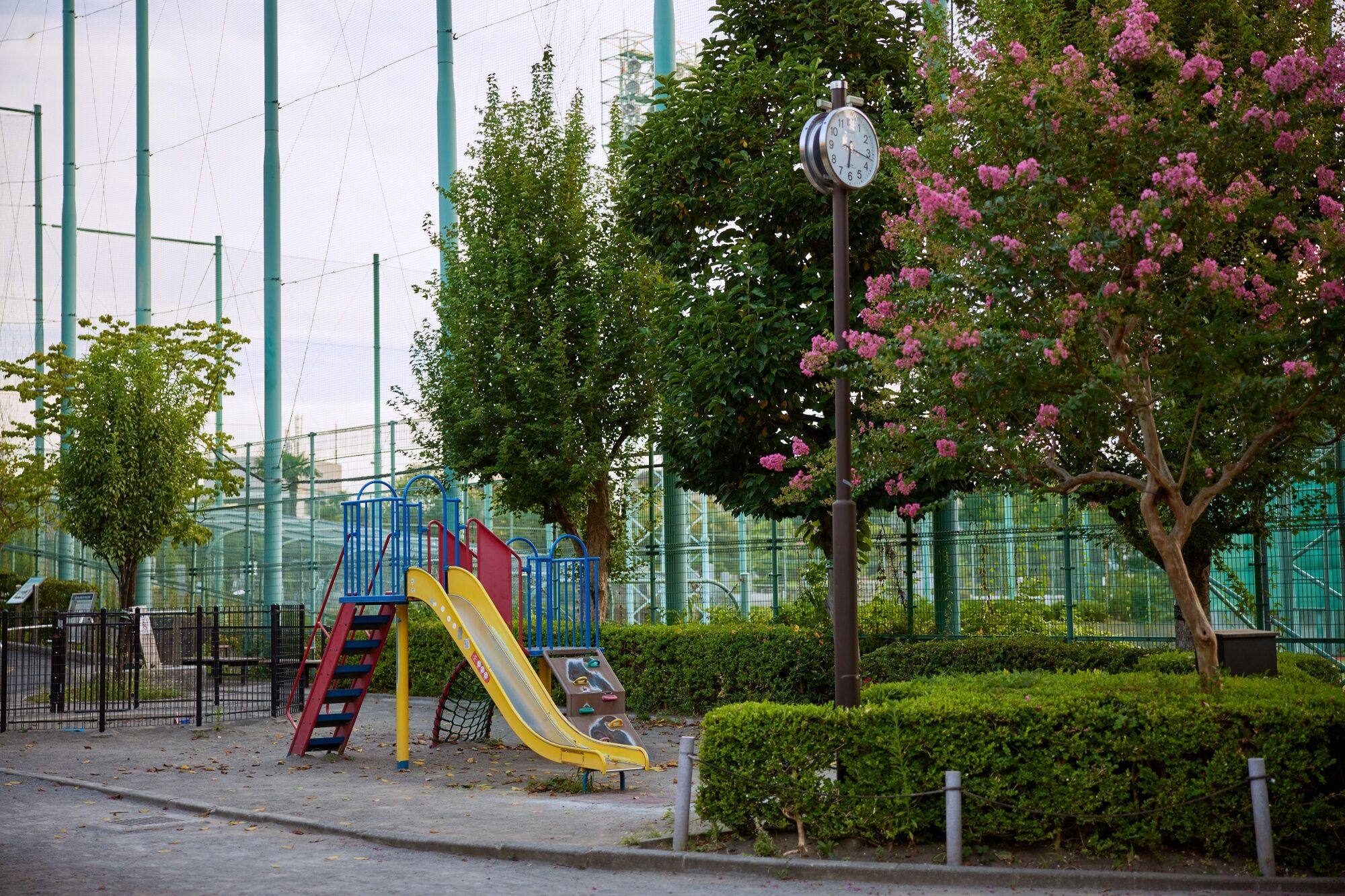 An empty park in Tokyo. More than 40 per cent of Japan’s municipalities are at risk of vanishing by 2050 due to a sharp fall in women of child-bearing age. Photo: Bloomberg