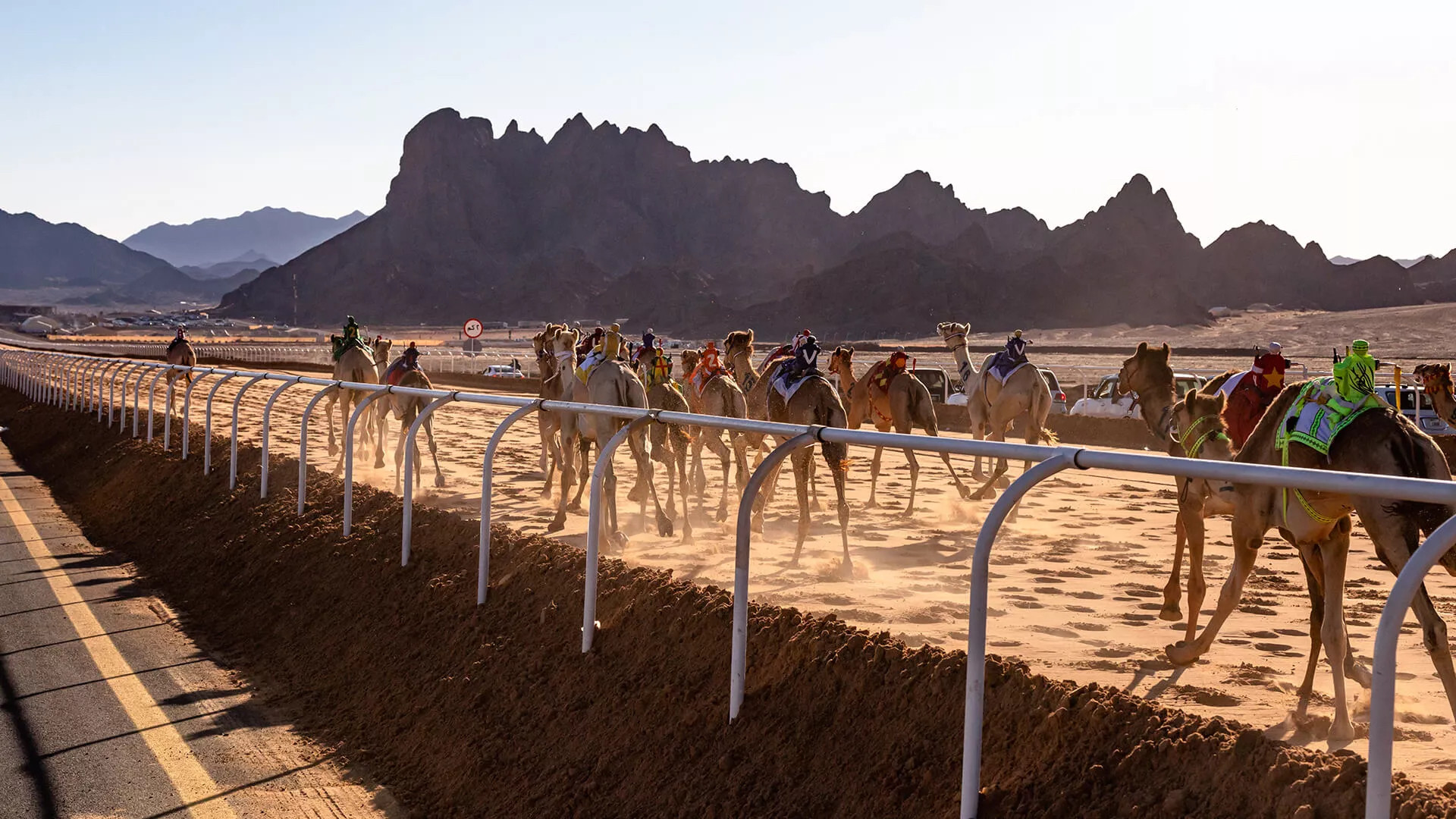 AlUla Camel Cup, 2023, in Saudi Arabia. Photo: Royal Commission for AlUla