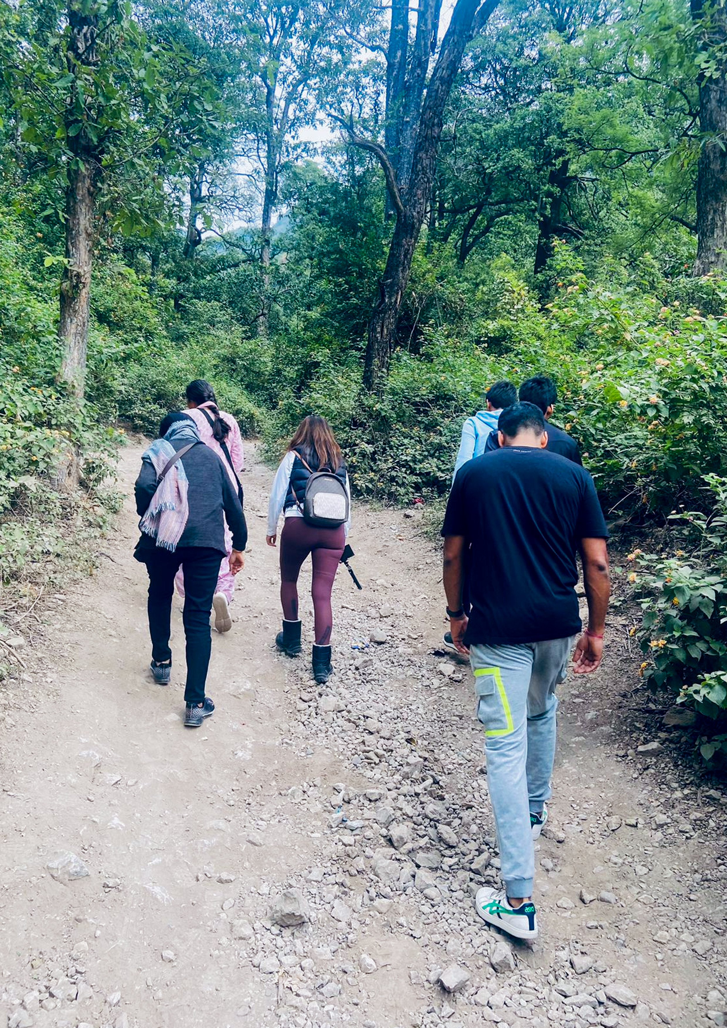 Participants in “forest bathing” at a retreat in India. Corporate high-fliers there and elsewhere have joined the “anti-grindset” movement that prioritises achieving better work-life balance. Photo: Ekaanta