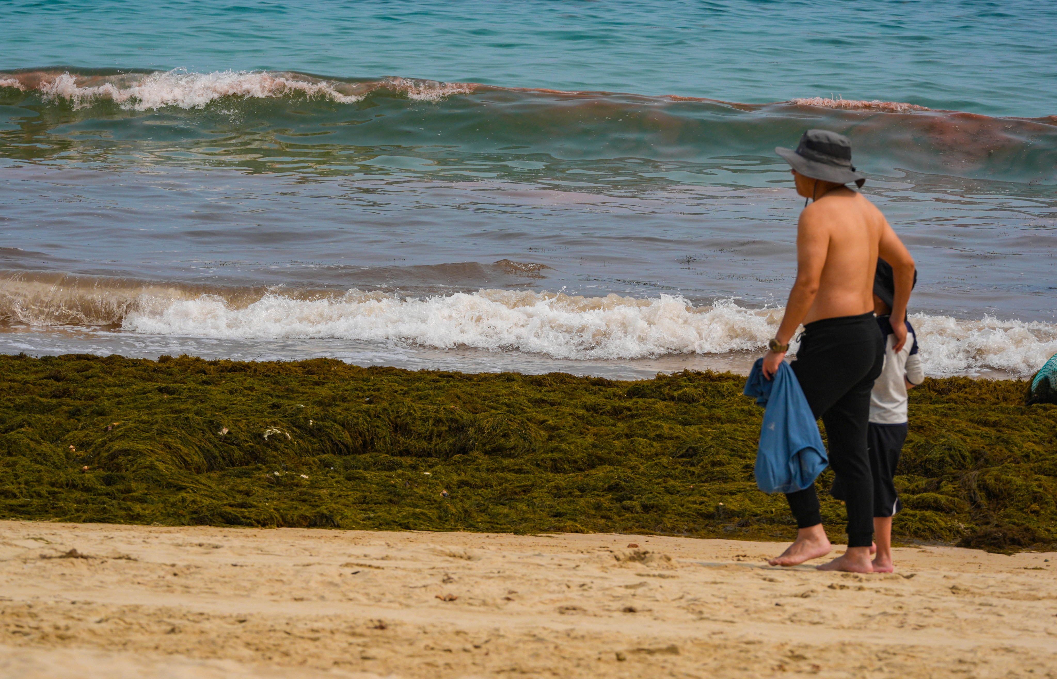 A red tide blooms at Shek O Beach last month. Photo: Eugene Lee