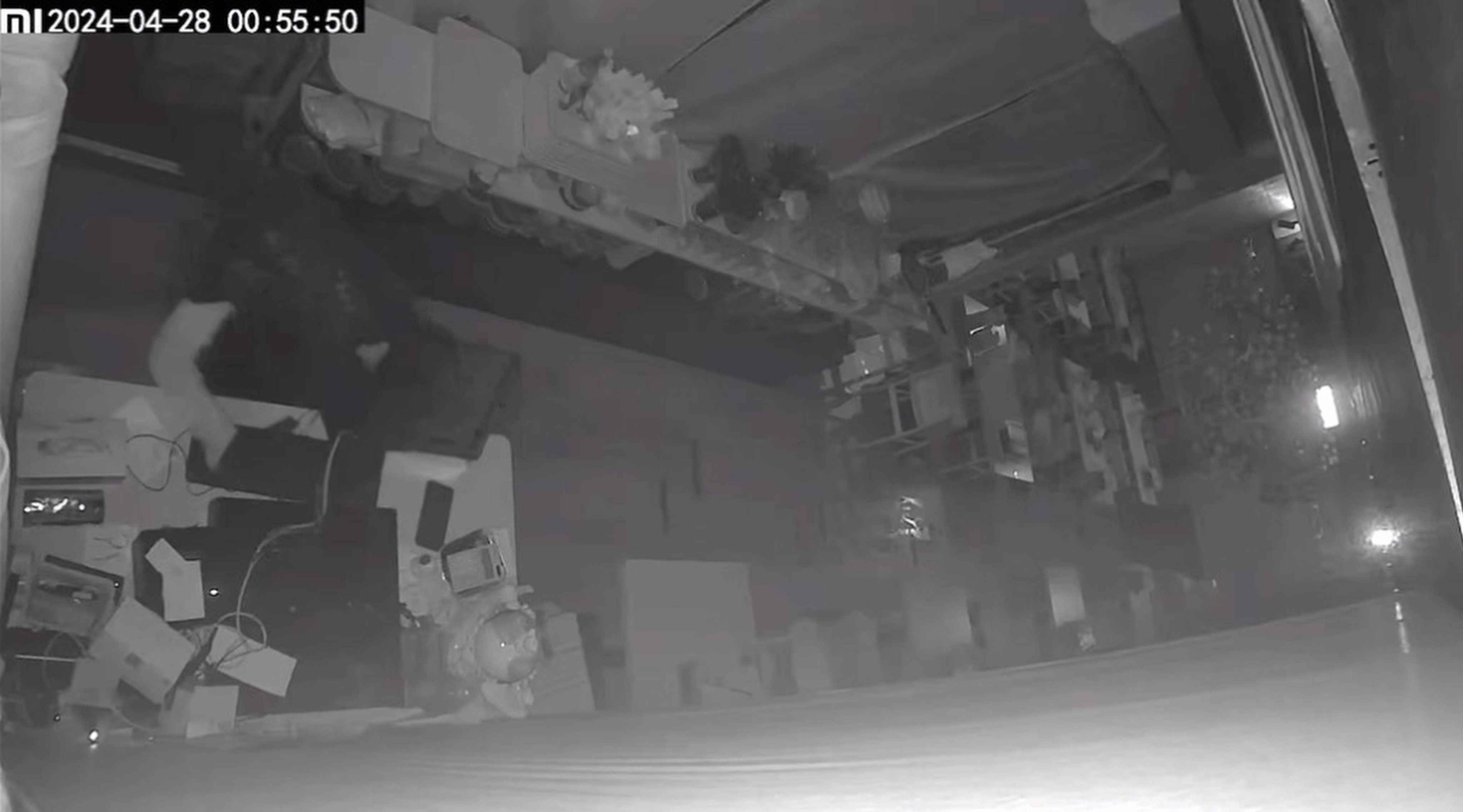 A screengrab of the security camera footage shows the burglar (far left) in the shop. Photo: Handout 