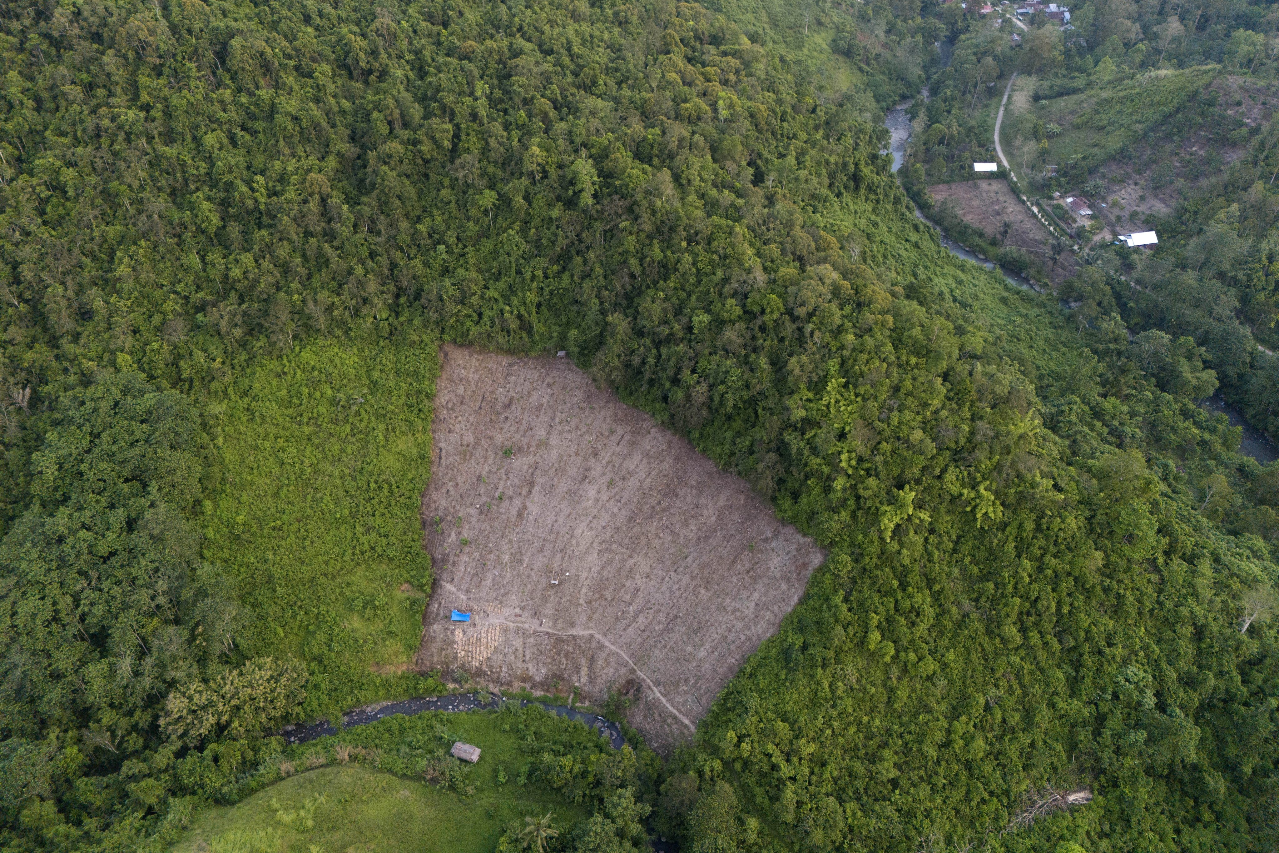 A swathe of cleared forest in Polewali Mandar, South Sulawesi, Indonesia. Photo: AP