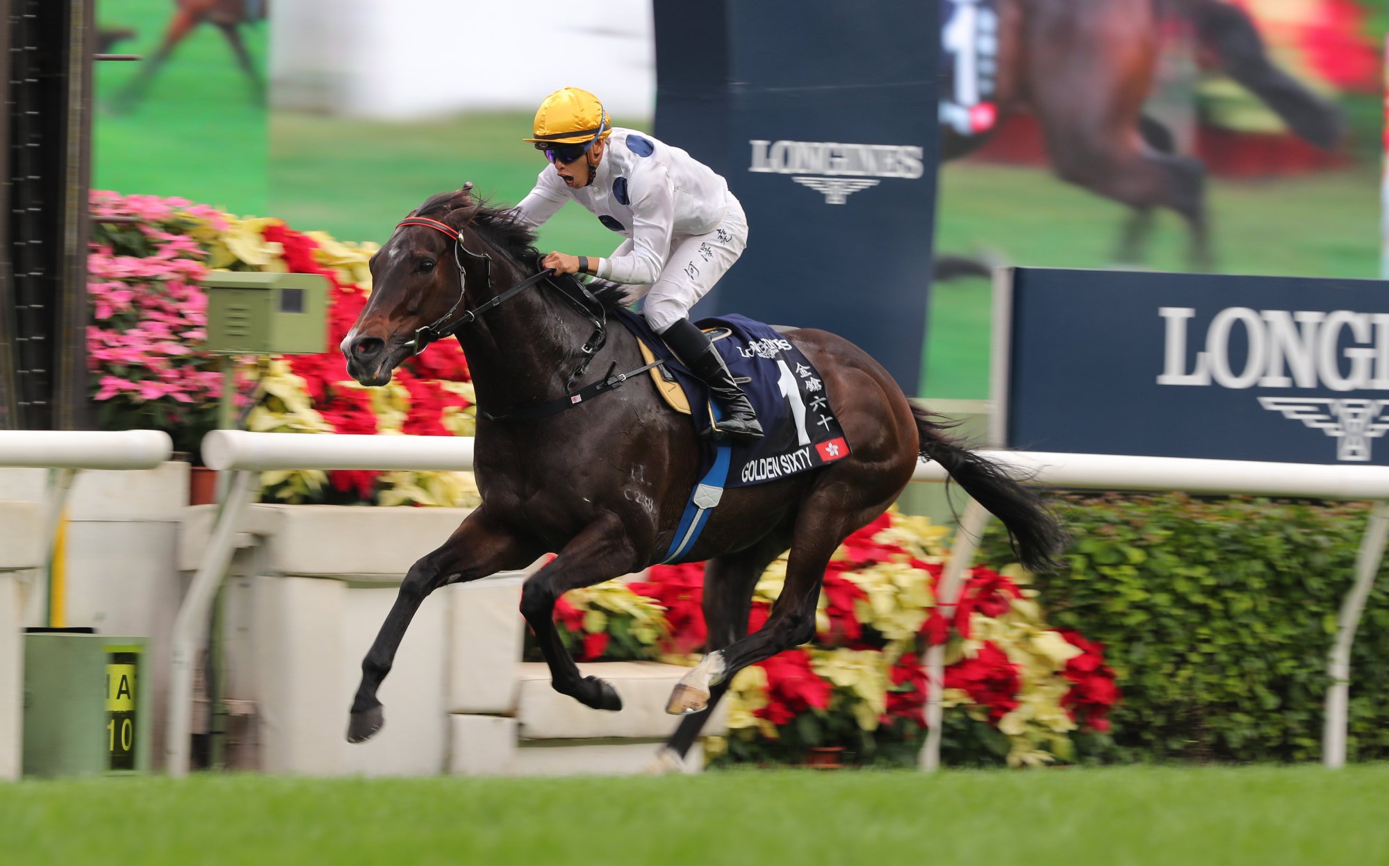 Golden Sixty in action winning the Hong Kong Mile in December 2023.