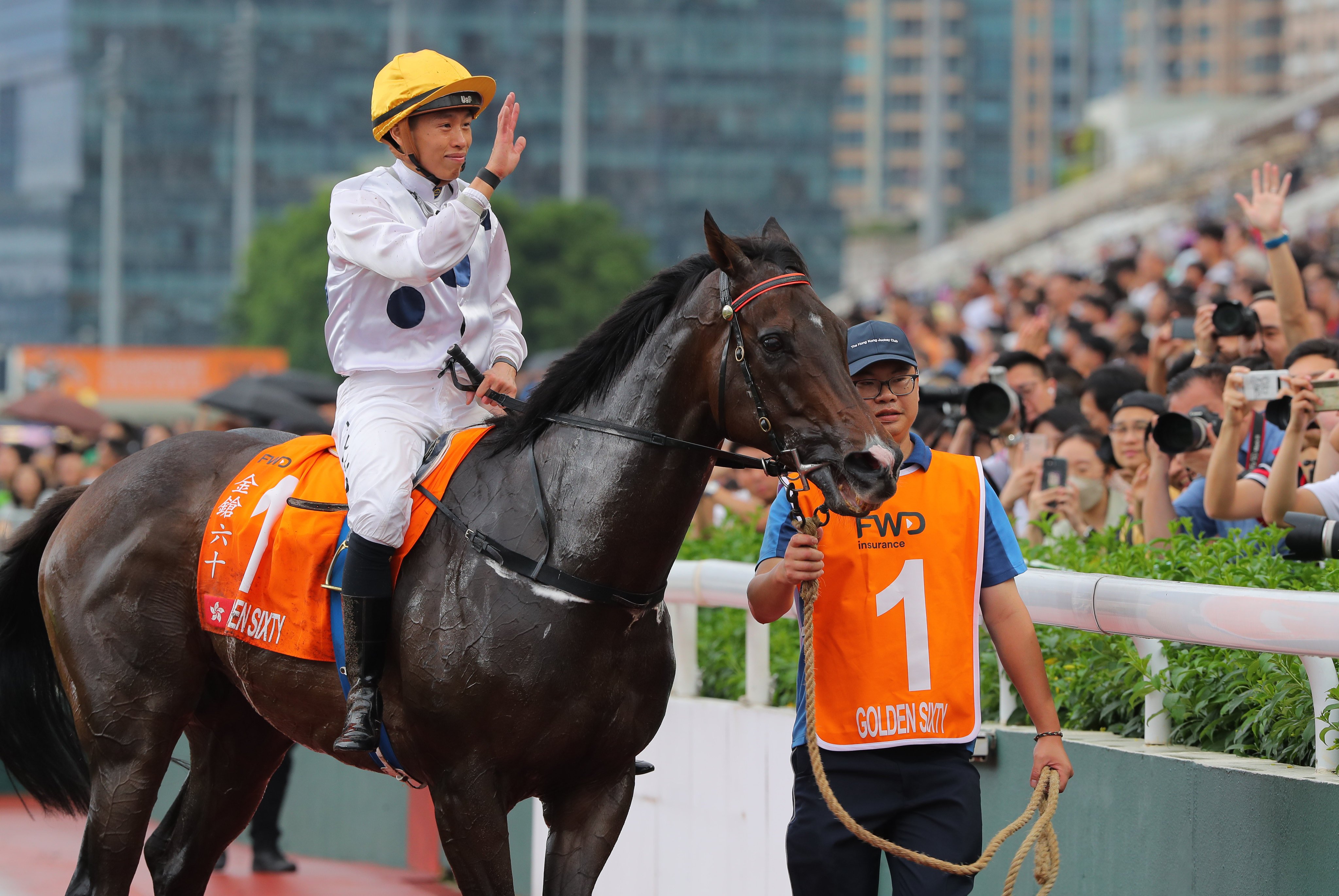 Golden Sixty returns to the paddock after running fourth in last Sunday’s Champions Mile. Photos: Kenneth Chan