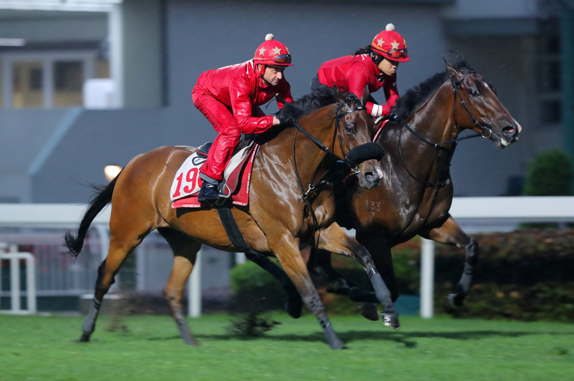Russian Emperor (left) gallops on the Sha Tin turf under Douglas Whyte last month.