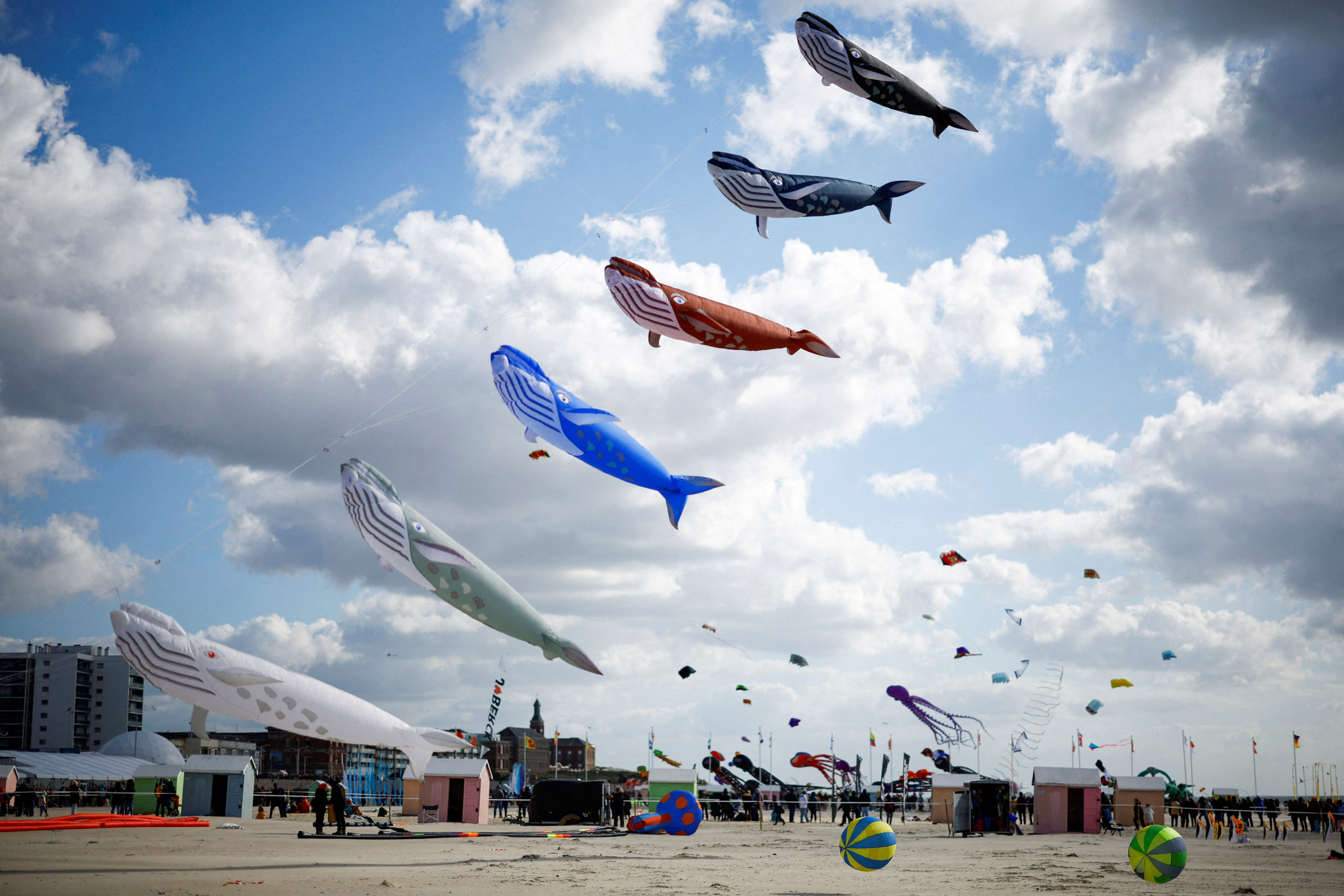 Kites fly over the beach during the 37th International Berck-sur-Mer Kite Festival. Photo: Reuters