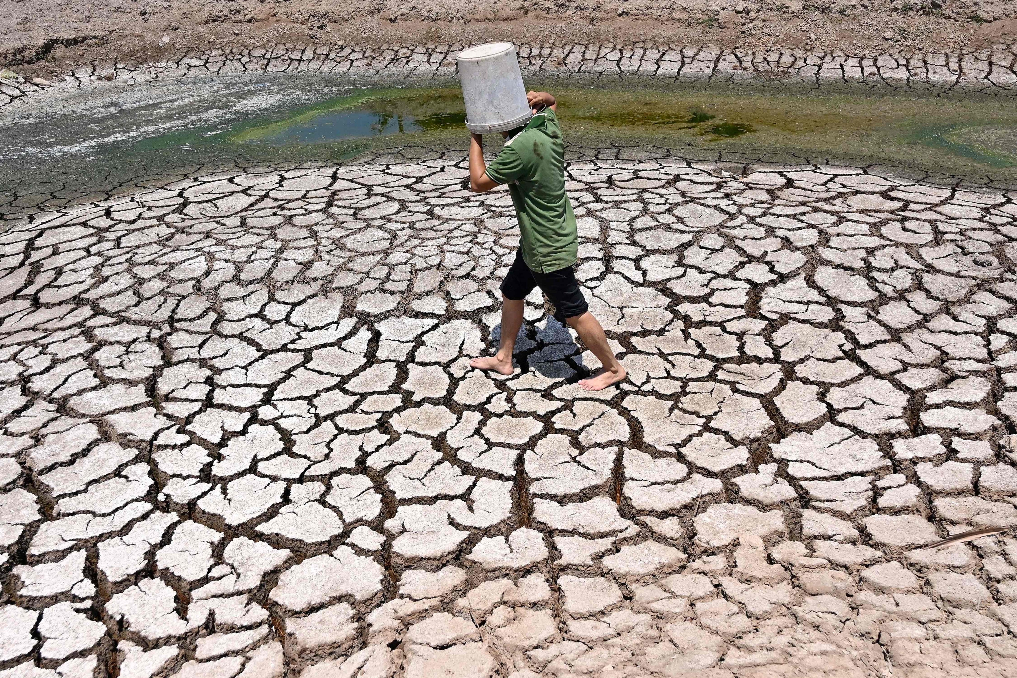 A man carries a plastic bucket across the cracked bed of a dried-up pond in Vietnam’s southern Ben Tre province. Photo: AFP