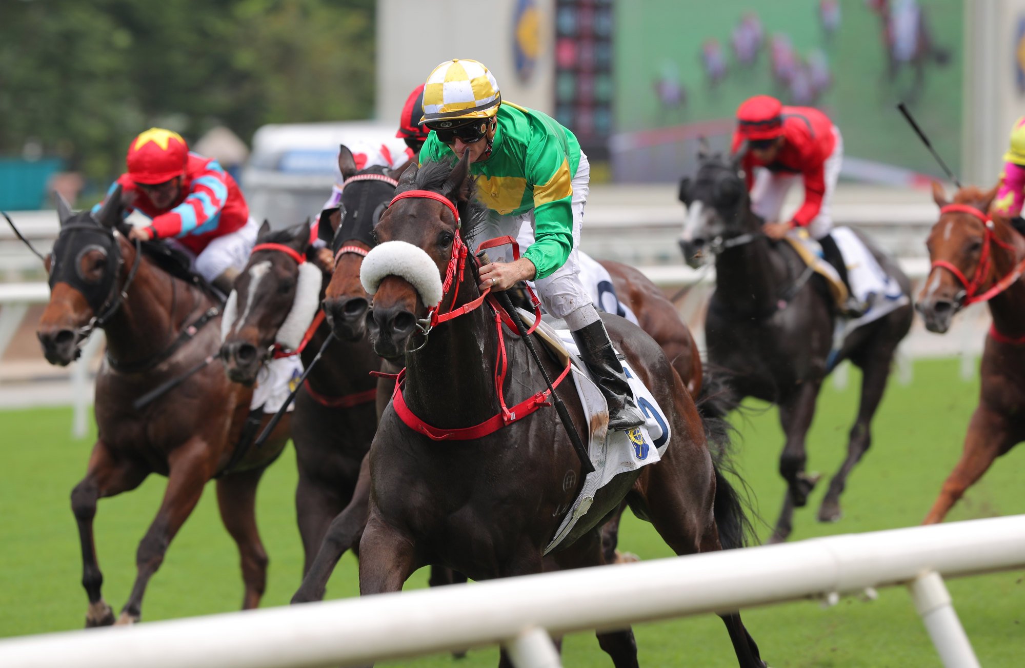 Bottomuptogether skips clear to win brilliantly on debut. Bottomuptogether skips clear to win brilliantly on debut.