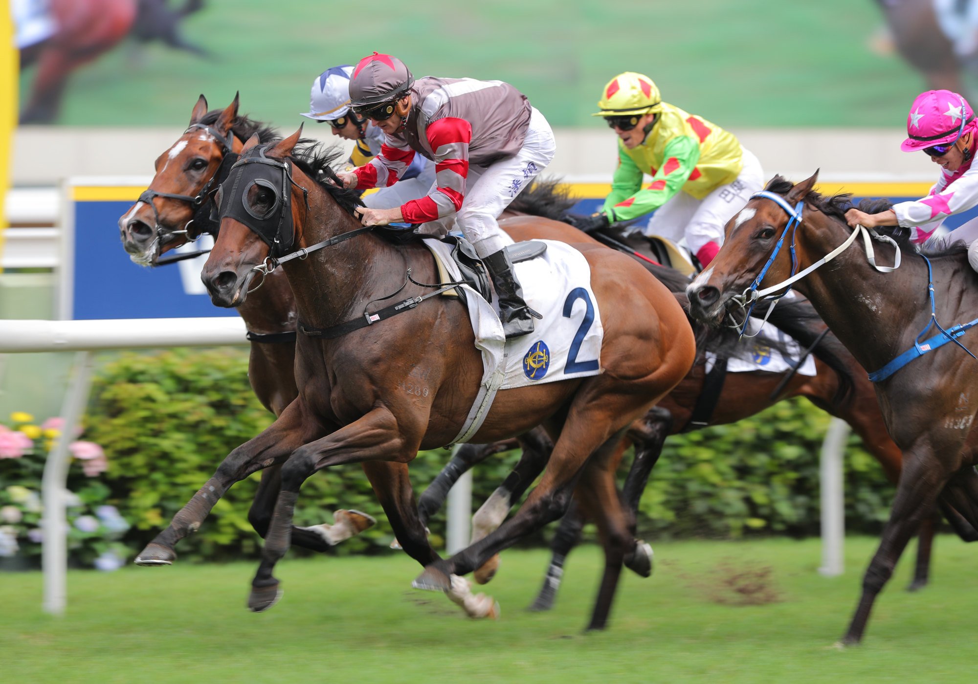 Zac Purton guides Aestheticism to victory at Sha Tin. Zac Purton guides Aestheticism to victory at Sha Tin.