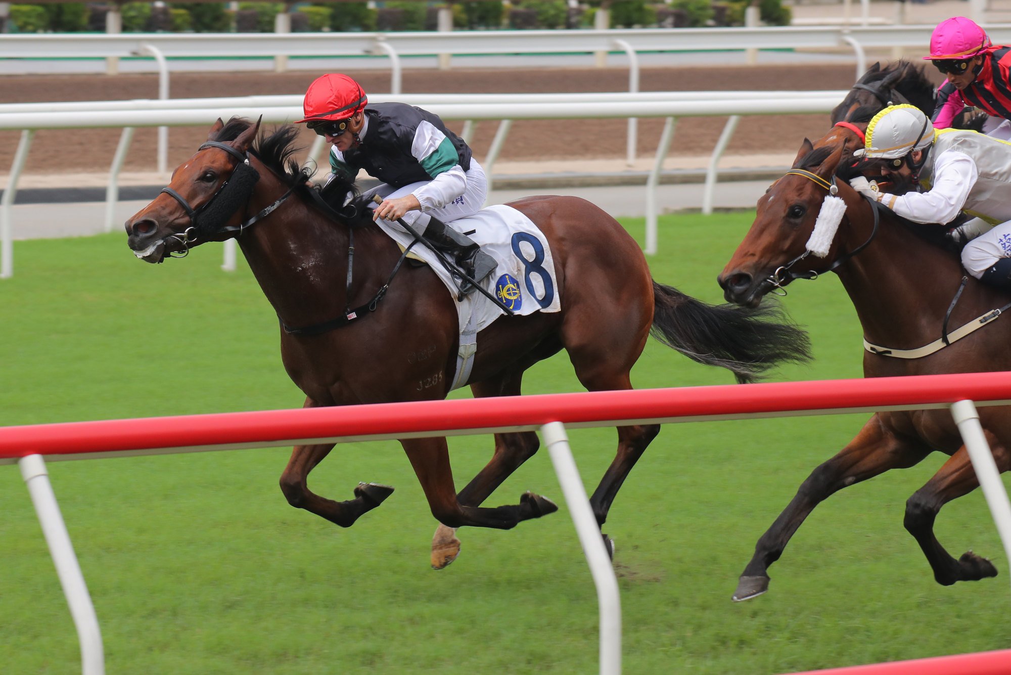 La Forza surges clear to beat Run Yes Run. La Forza surges clear to beat Run Yes Run.