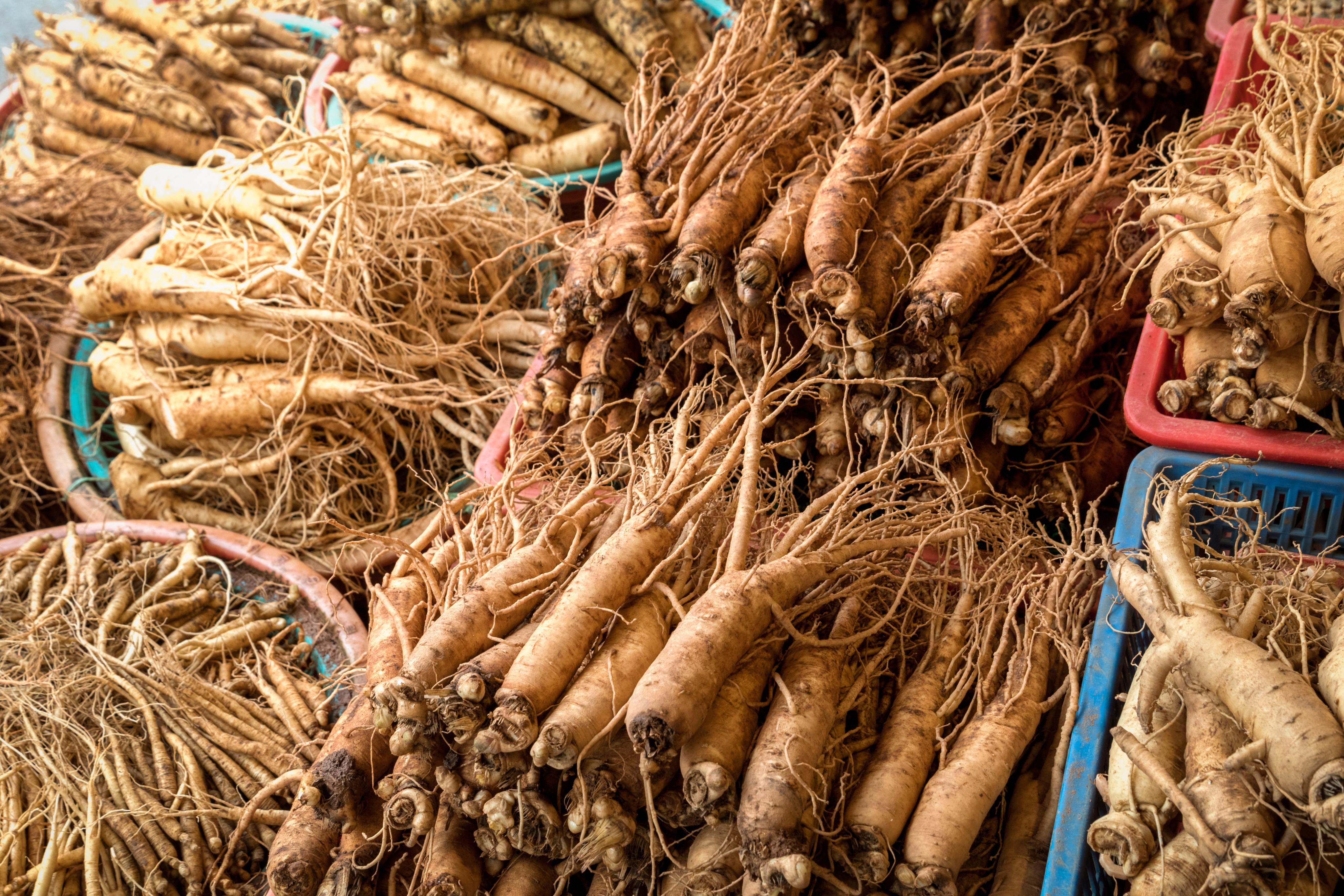 Ginseng in a South Korean market. New varieties of the medicinal root resilient to extreme weather and other environmental threats have been developed, while Korean ginseng brands are stepping up marketing to regain ground in the global health-supplements market. Photo: Getty Images