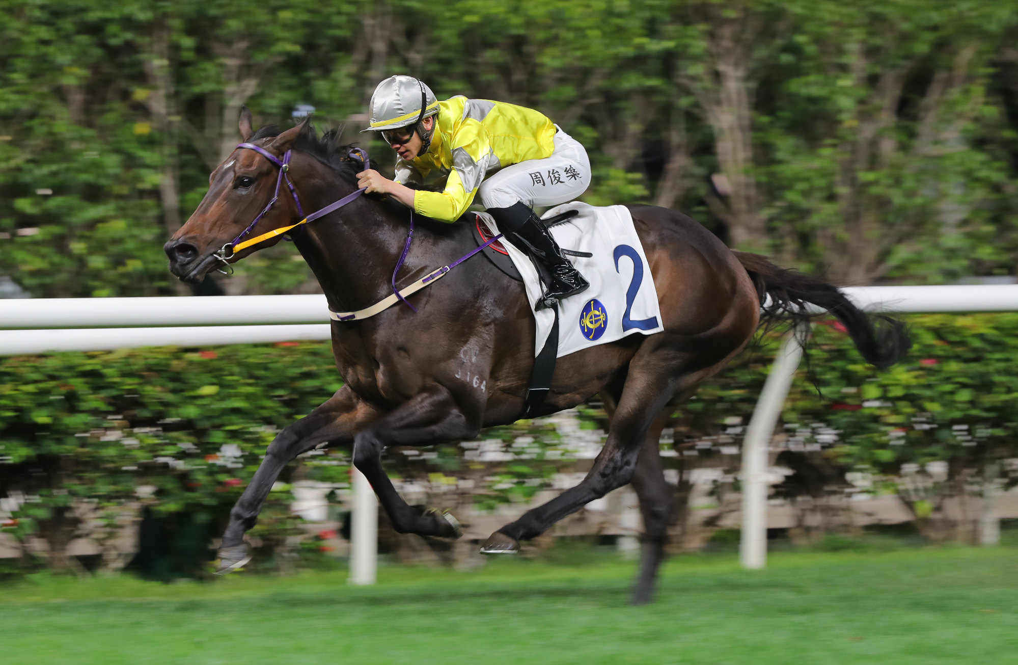 Super Joy N Fun records consecutive wins at Happy Valley in February.