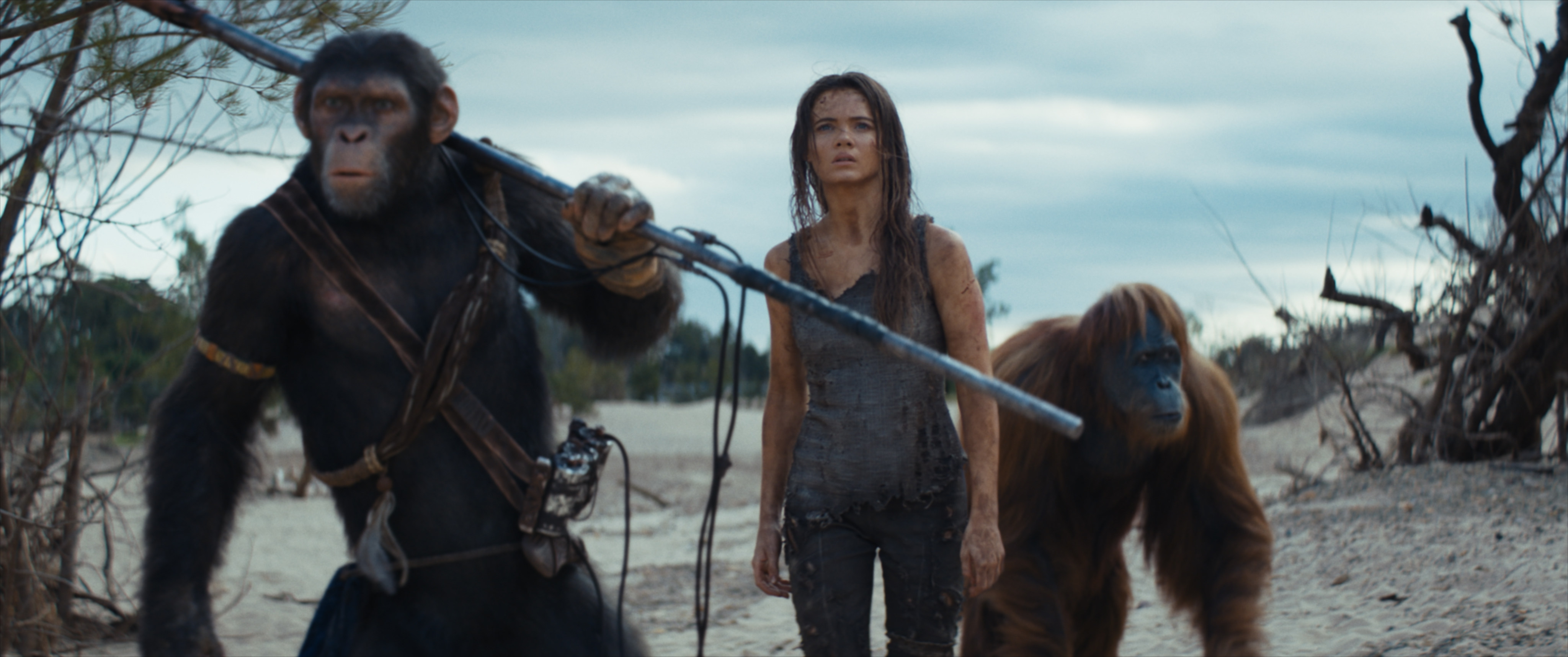 Noa (left, played by Owen Teague), Freya Allan as Mae and Raka (Peter Macon) in a still from Kingdom of the Planet of the Apes. Photo: 20th Century Studios