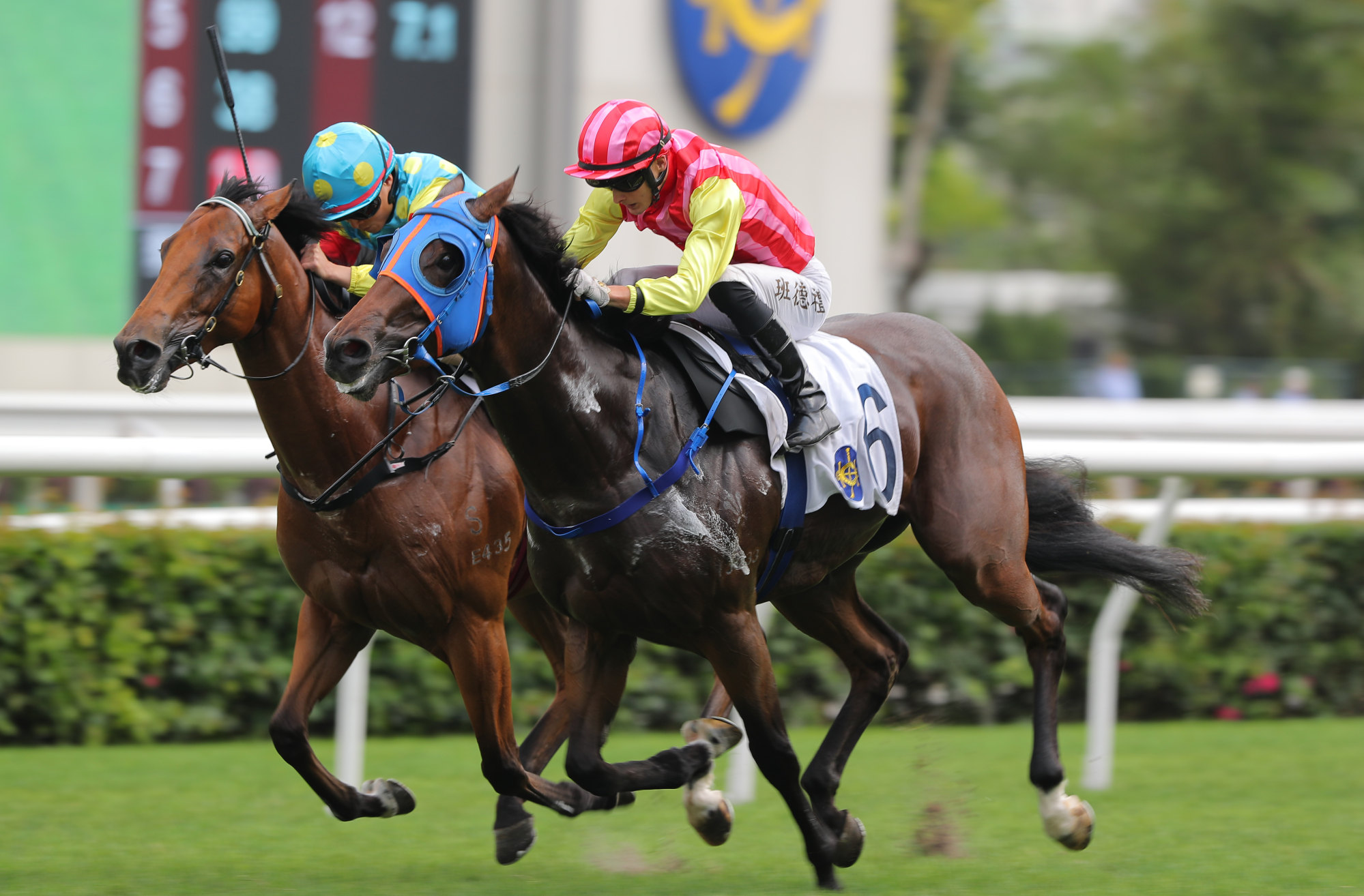 Lo Pan Spirit (outside) fights strongly to beat Awesome Treasure on debut.