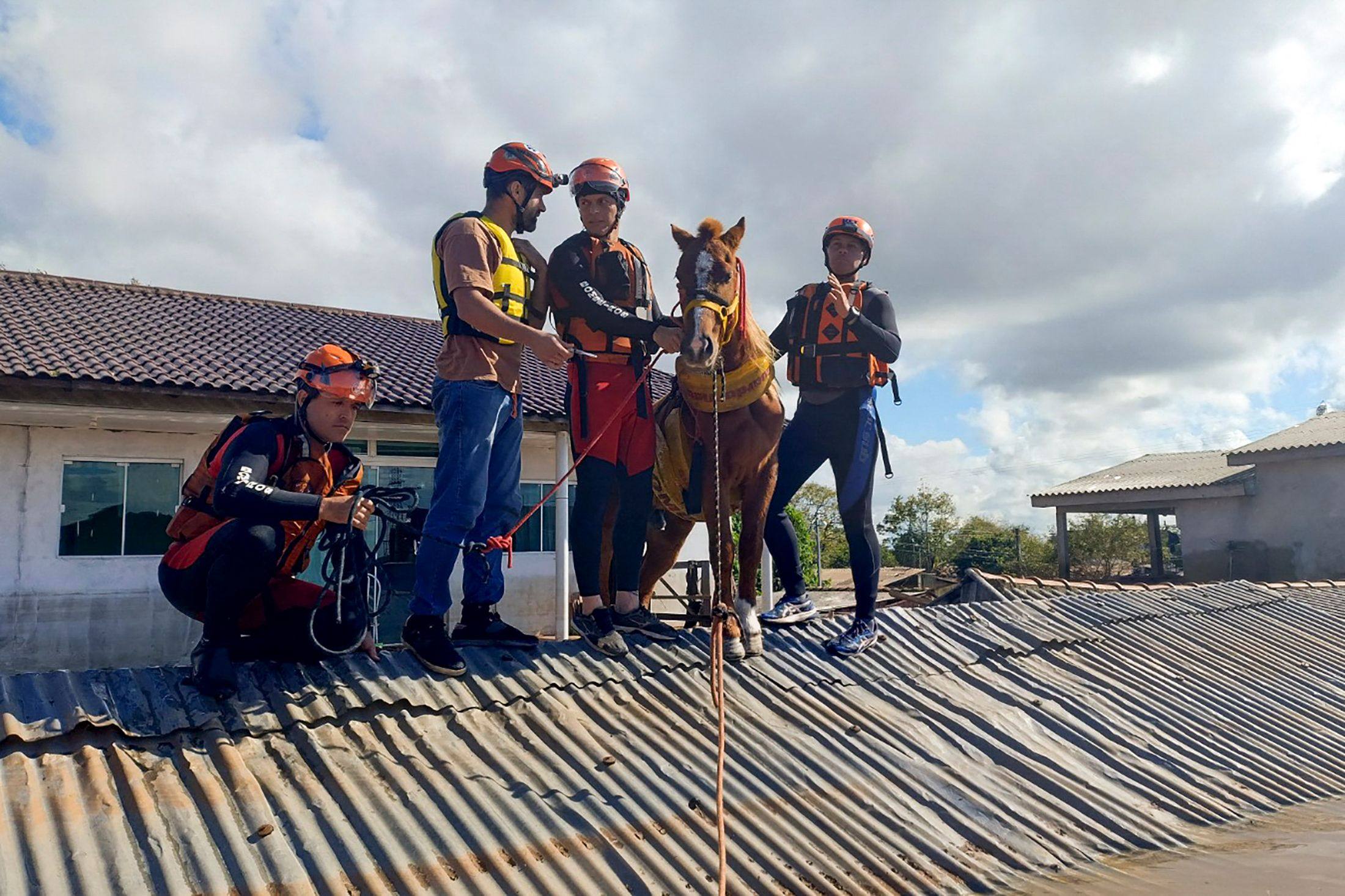 Firefighters rescued a horse from the roof of a house in the city of Canoas, Rio Grande do Sul state, Brazil. Photo: AFP