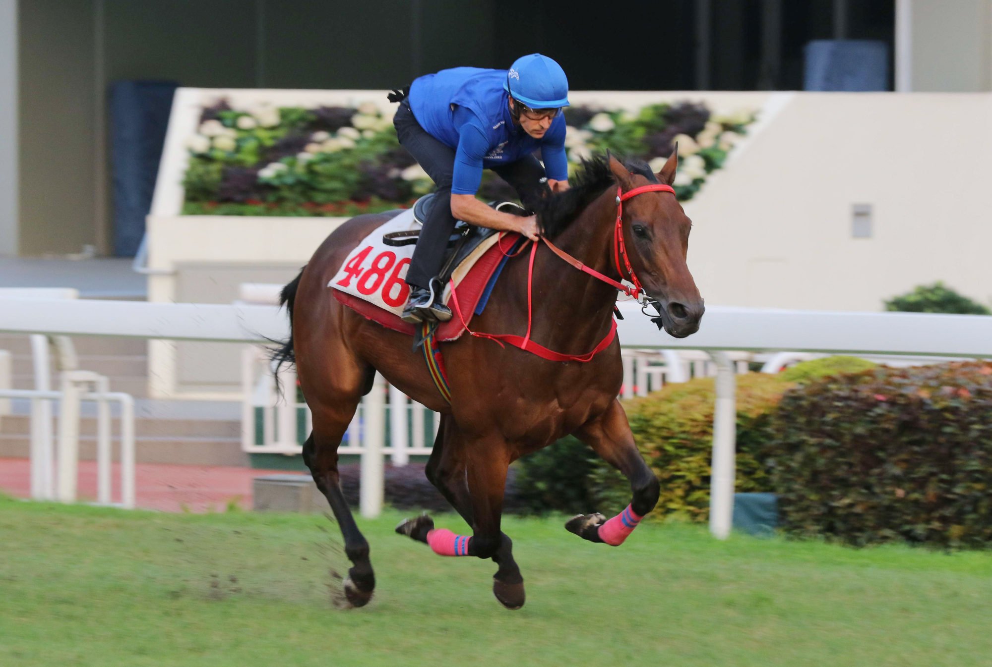 Hugh Bowman gallops Romantic Warrior on the Sha Tin turf on Thursday.