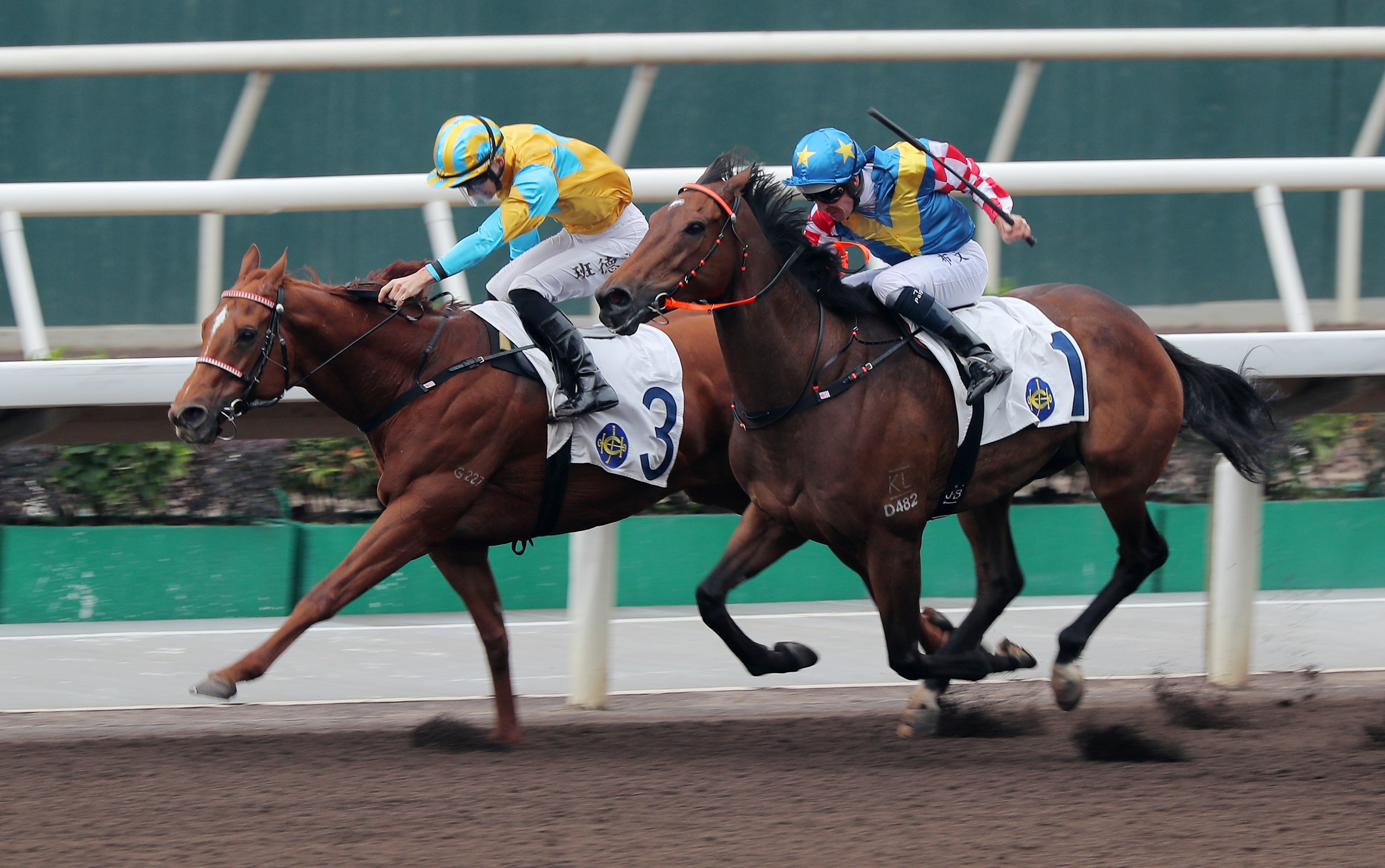 Mr Ascendency (inside) wins narrowly on the dirt at Sha Tin under Harry Bentley. Photos: Kenneth Chan