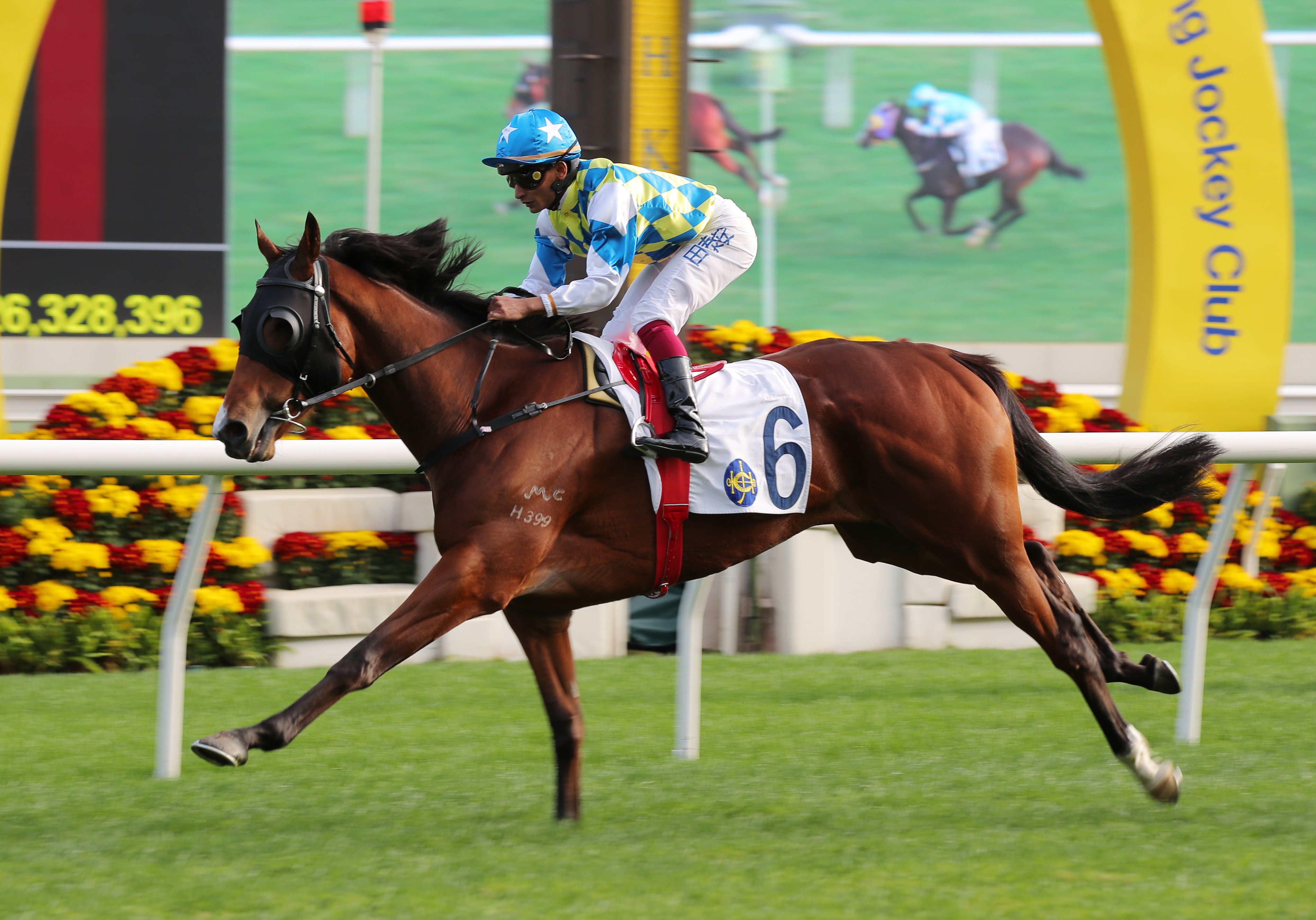 Galaxy Patch wins at Sha Tin in January. Photos: Kenneth Chan