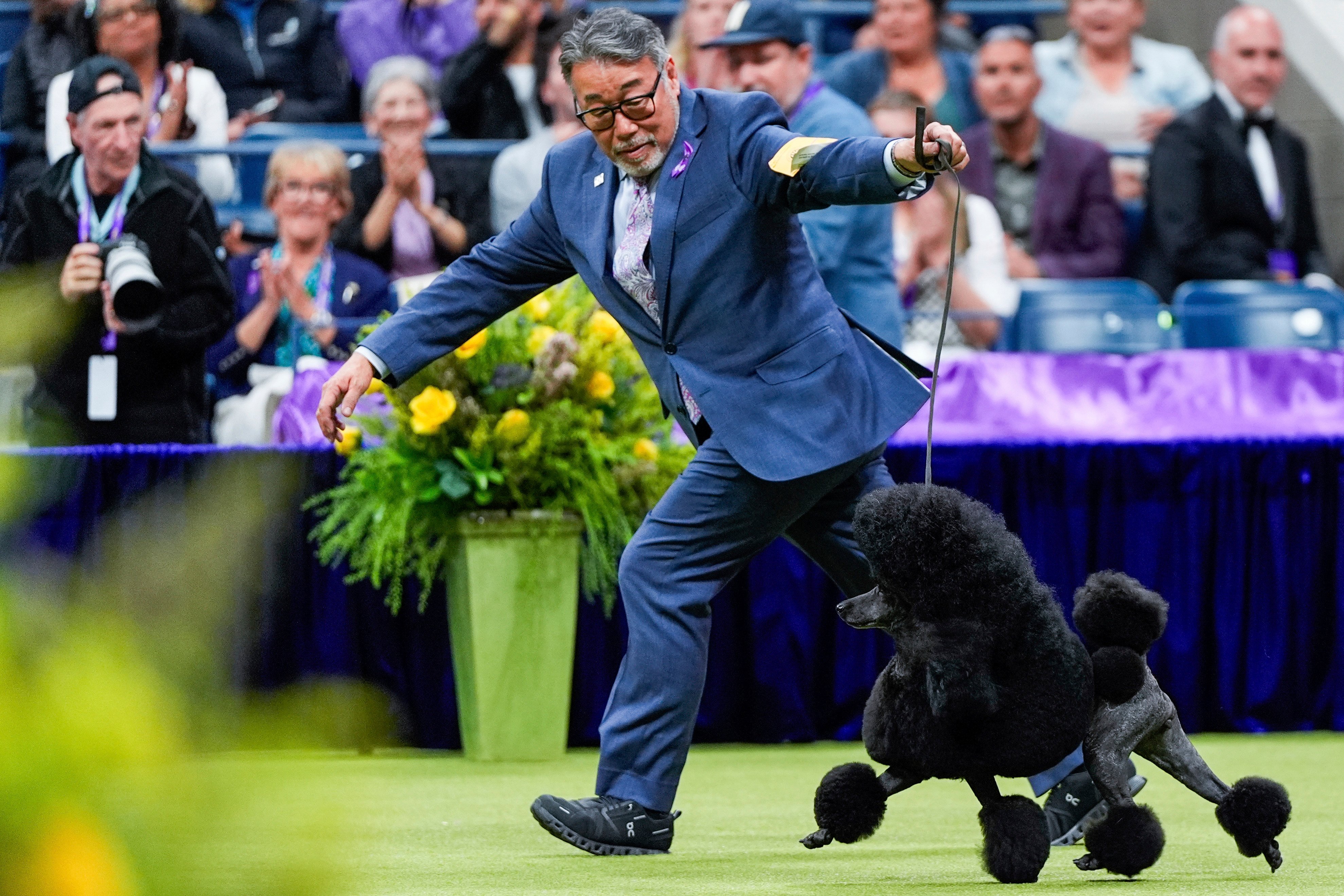 Sage competes with handler Kaz Hosaka. Sage bested six other finalists to take best in show. Photo: AP