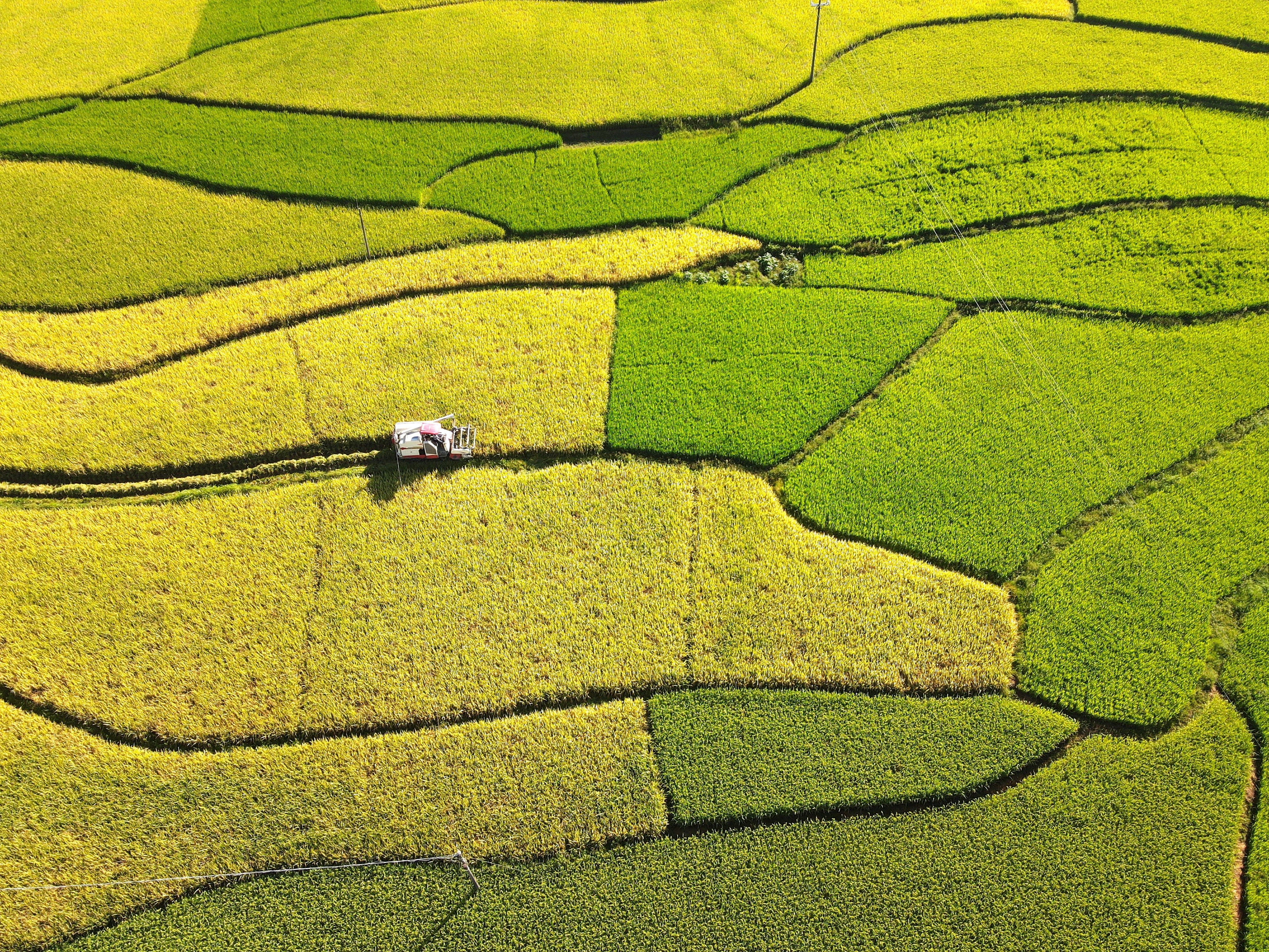 Hunan province in central China is leading a campaign to invest in Africa to help boost production of food, some of which will be exported back to China. Photo: Xinhua