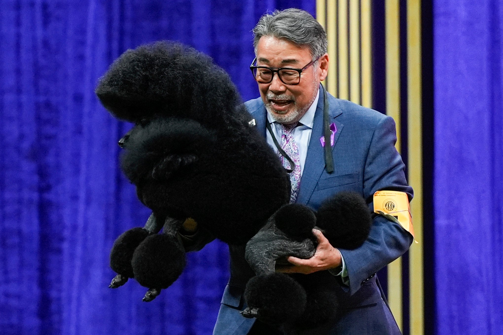 Sage competes with handler Kaz Hosaka. Sage bested six other finalists to take best in show. Photo: AP