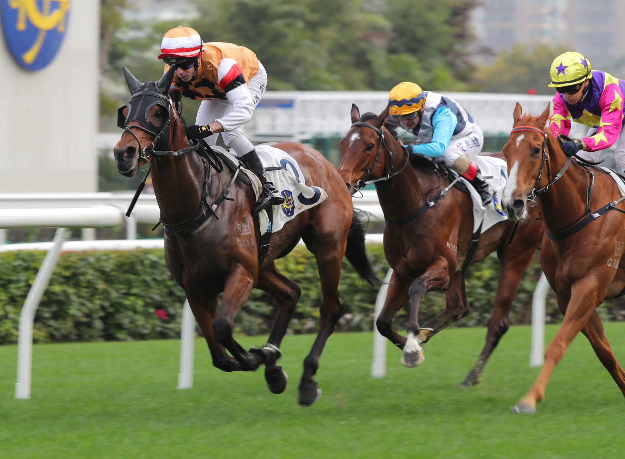 Brenton Avdulla guides Atullibigeal to victory at Sha Tin in February.