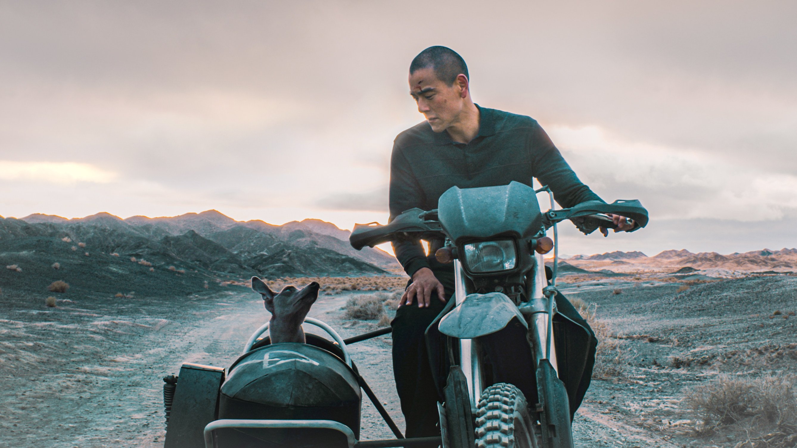 Eddie Peng as Lang in a still from Black Dog, directed by Guan Yu. Dong Liya and Jia Zhangke co-star.