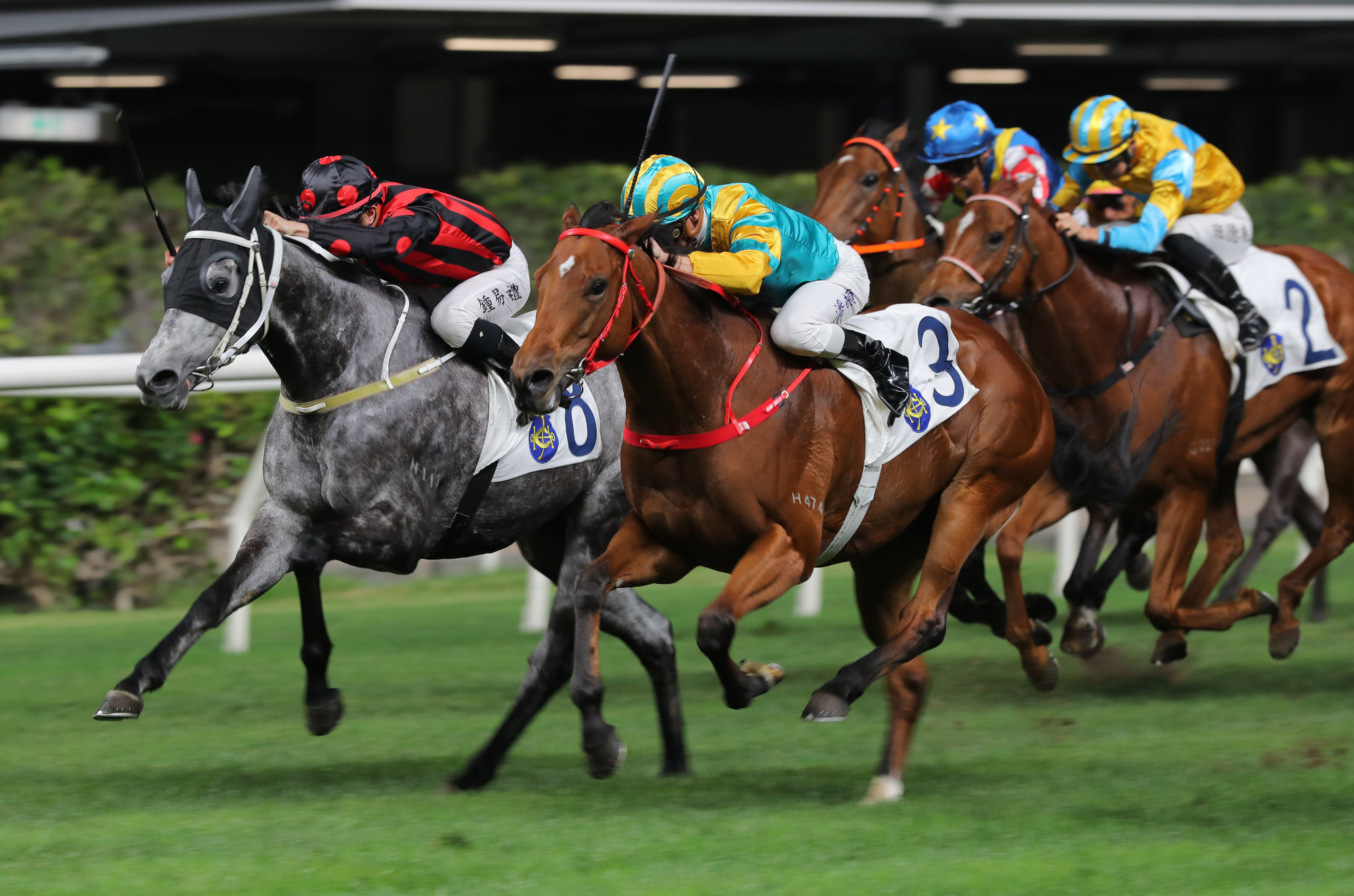 Moments In Time (outside) salutes at Happy Valley in April.