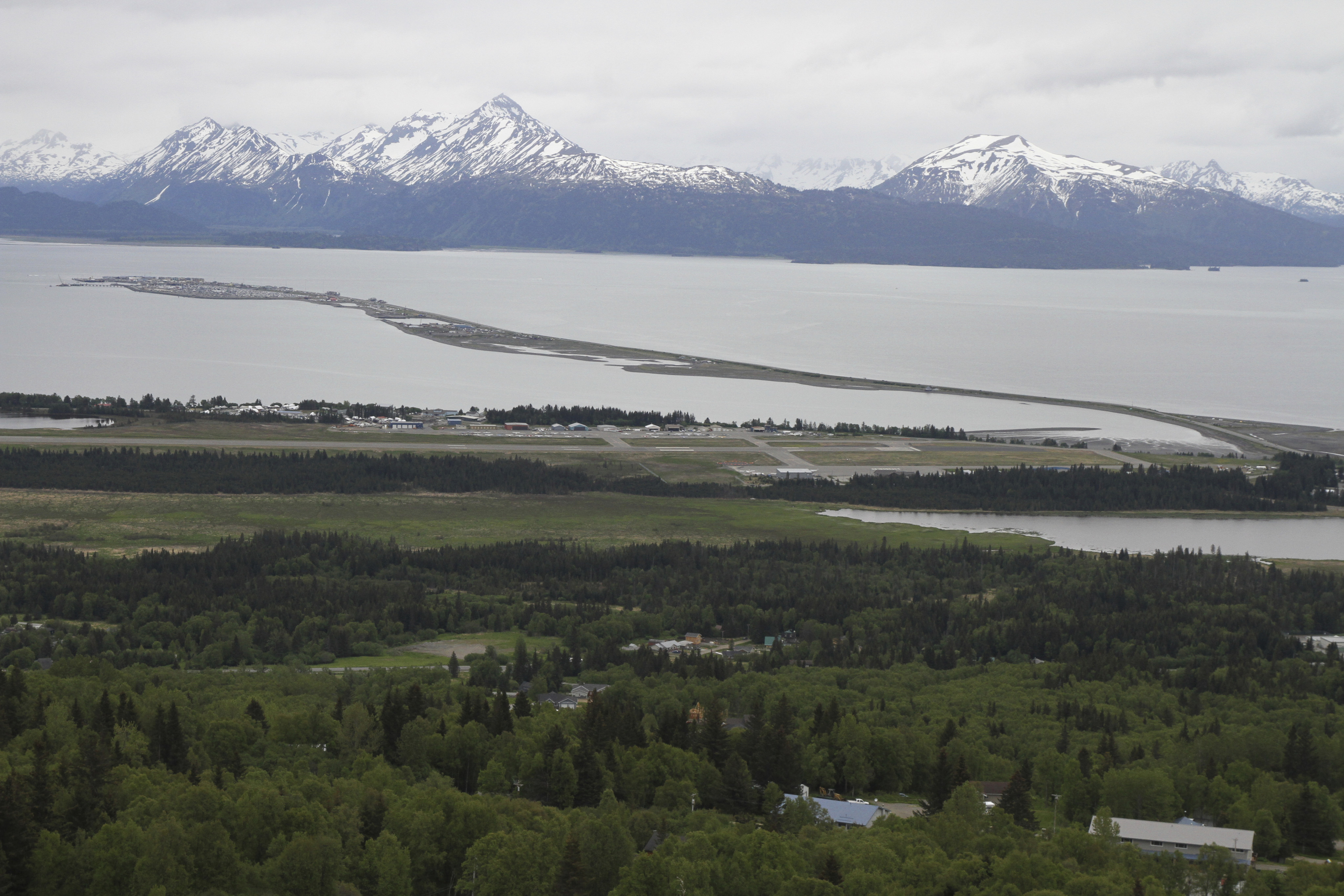 Homer, Alaska. Alaska police said a 70-year-old man was attacked and killed by a moose in Homer on Sunday. Photo: AP