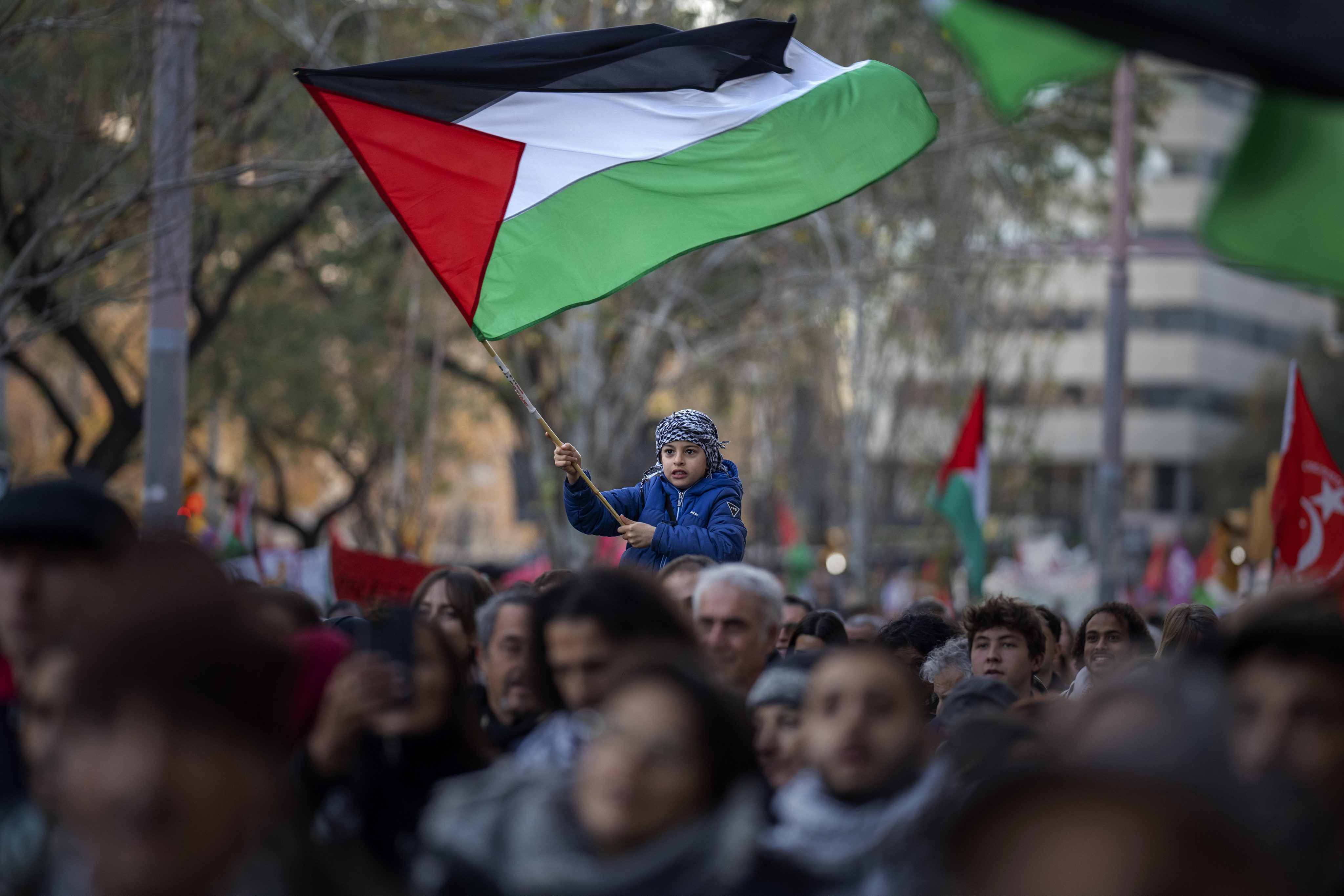 A boy waves a Palestinian flag in Barcelona, Spain, in January. File photo:  AP 
