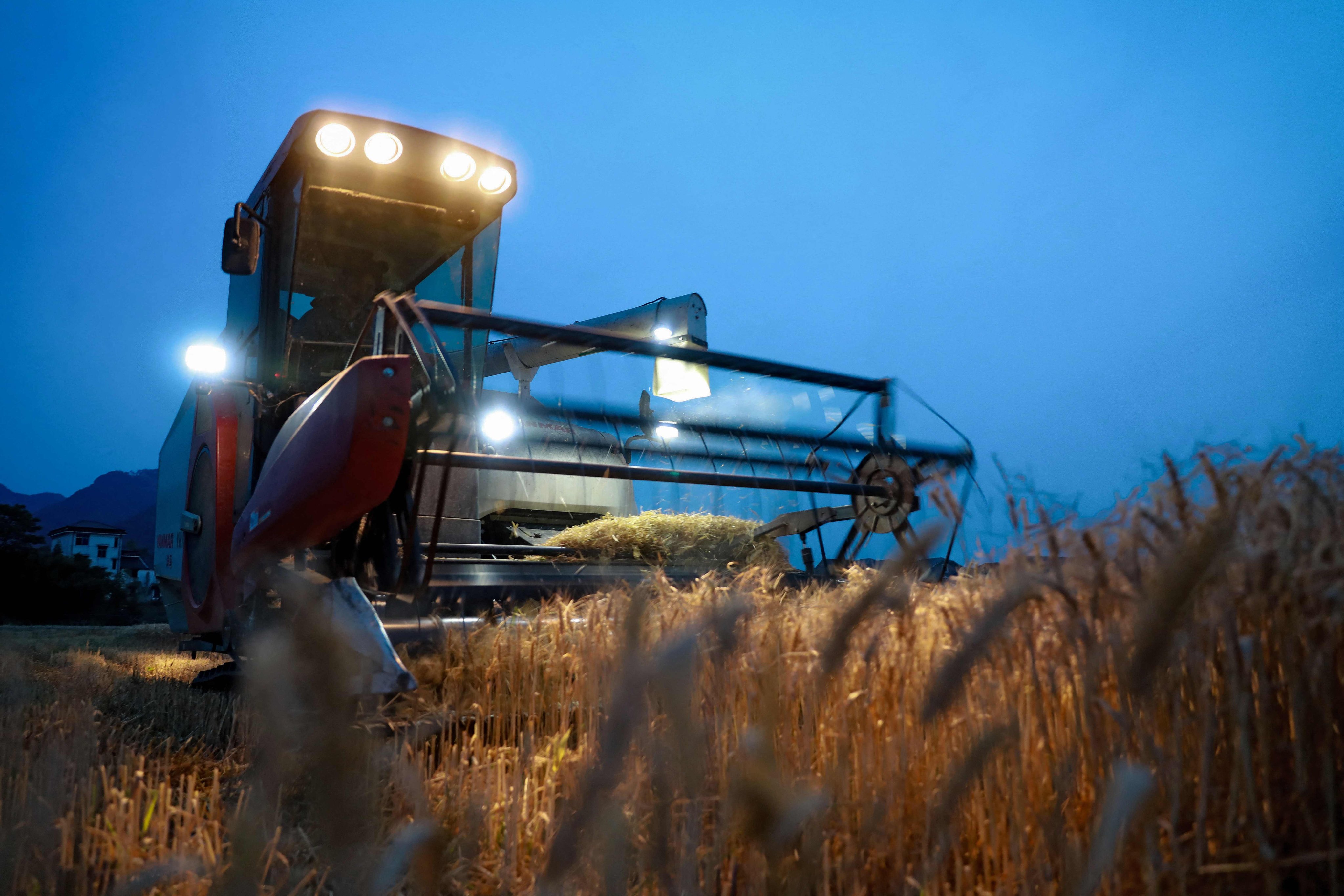 A harvester operates in a wheat field in Hangzhou, in eastern China’s Zhejiang province on May 22, 2024. Photo: AFP