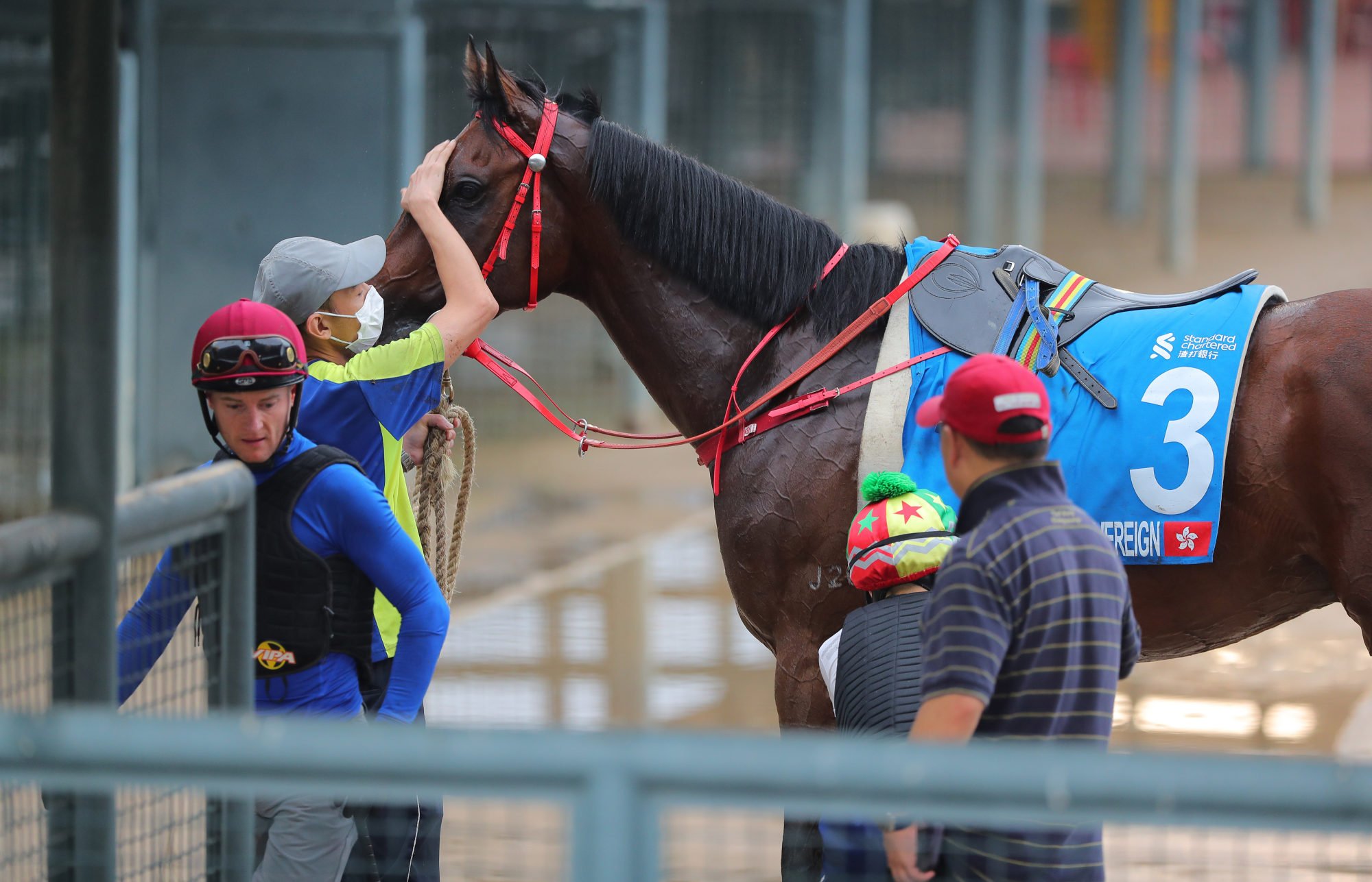 Massive Sovereign returns after working at Sha Tin on Tuesday morning.