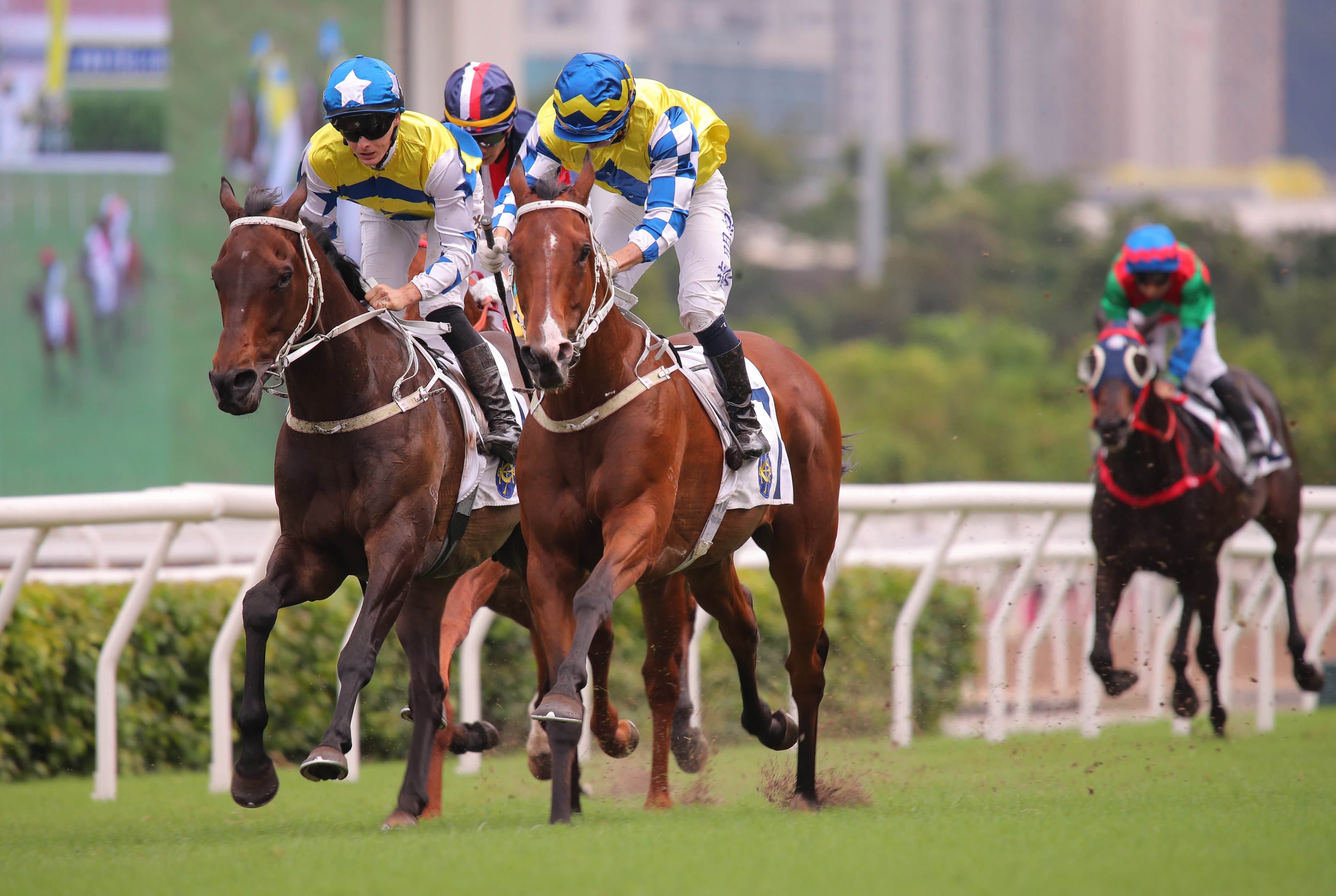 La City Blanche (centre) narrowly defeats Five G Patch in the Queen Mother Memorial Cup. Photos: Kenneth Chan