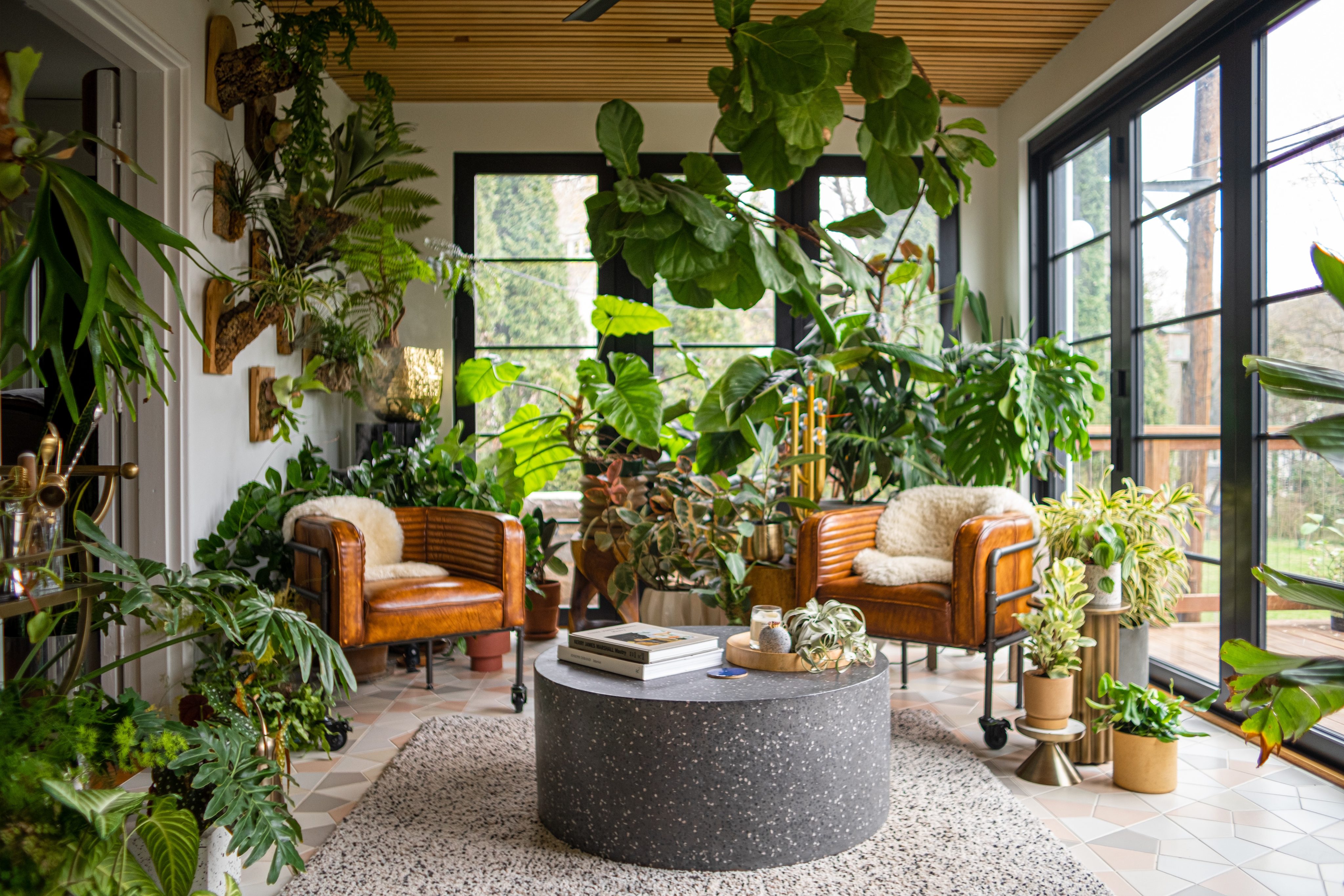 Magazines like Architectural Digest, and plant styling feeds on Instagram and Pinterest, are making house plants more popular than ever. Photo: Hilton Carter