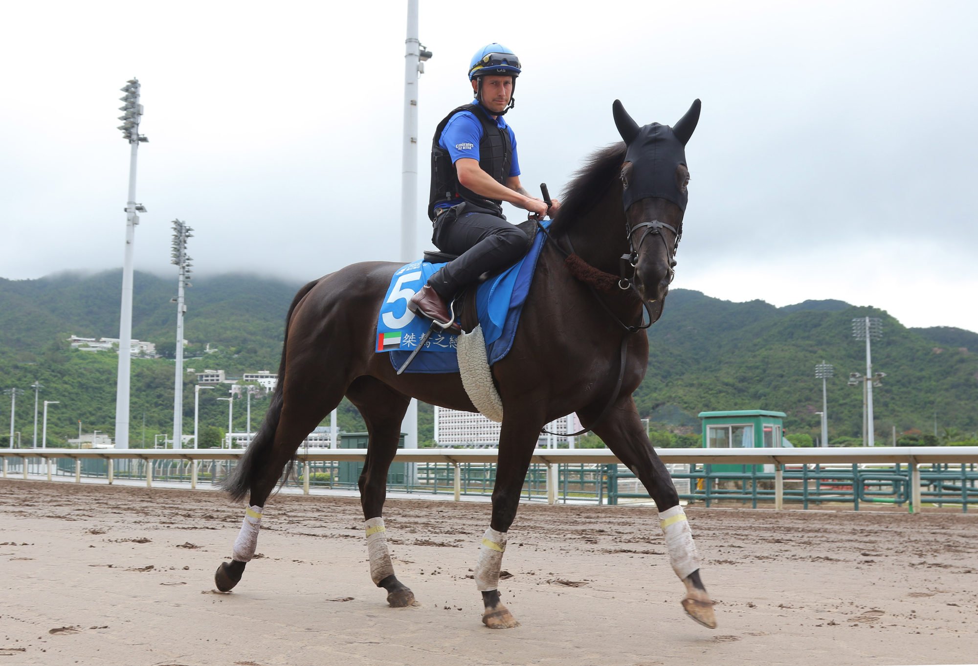 Rebel’s Romance works on the dirt track at Sha Tin.