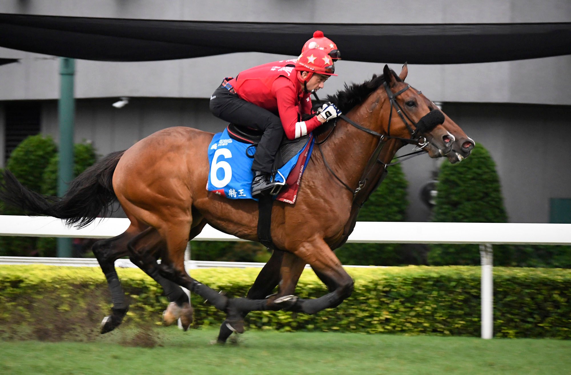 Douglas Whyte gallops Russian Emperor at Sha Tin on Tuesday morning.